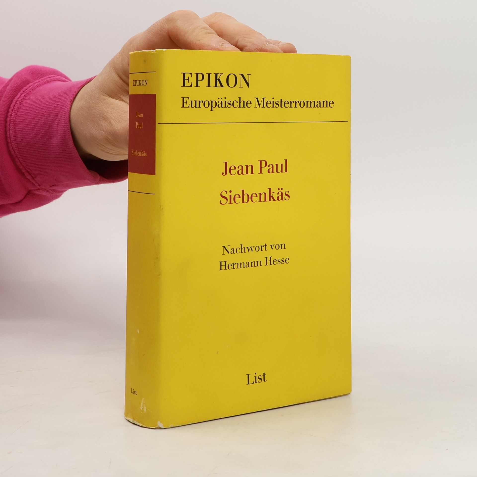 Jean Paul Siebenkäs Epikon. Europäische Meisterromane