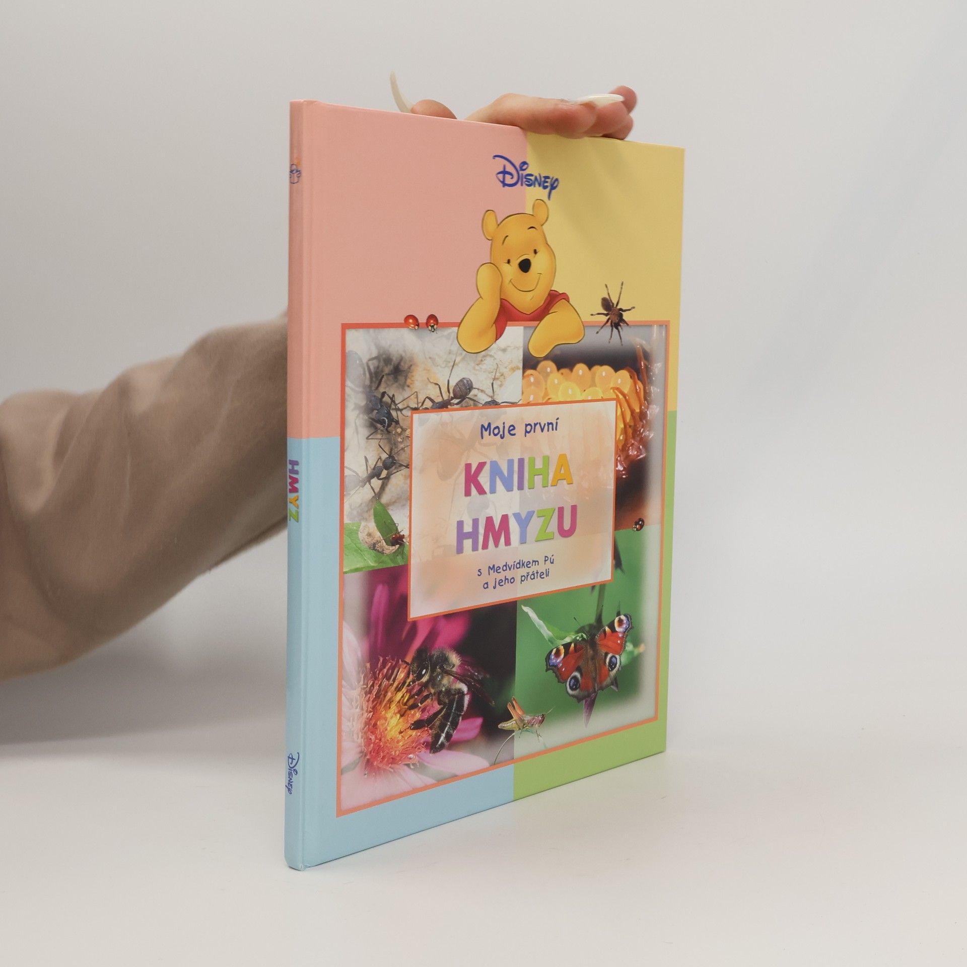 Walt Disney Moje první kniha hmyzu s Medvídkem Pú a jeho přáteli