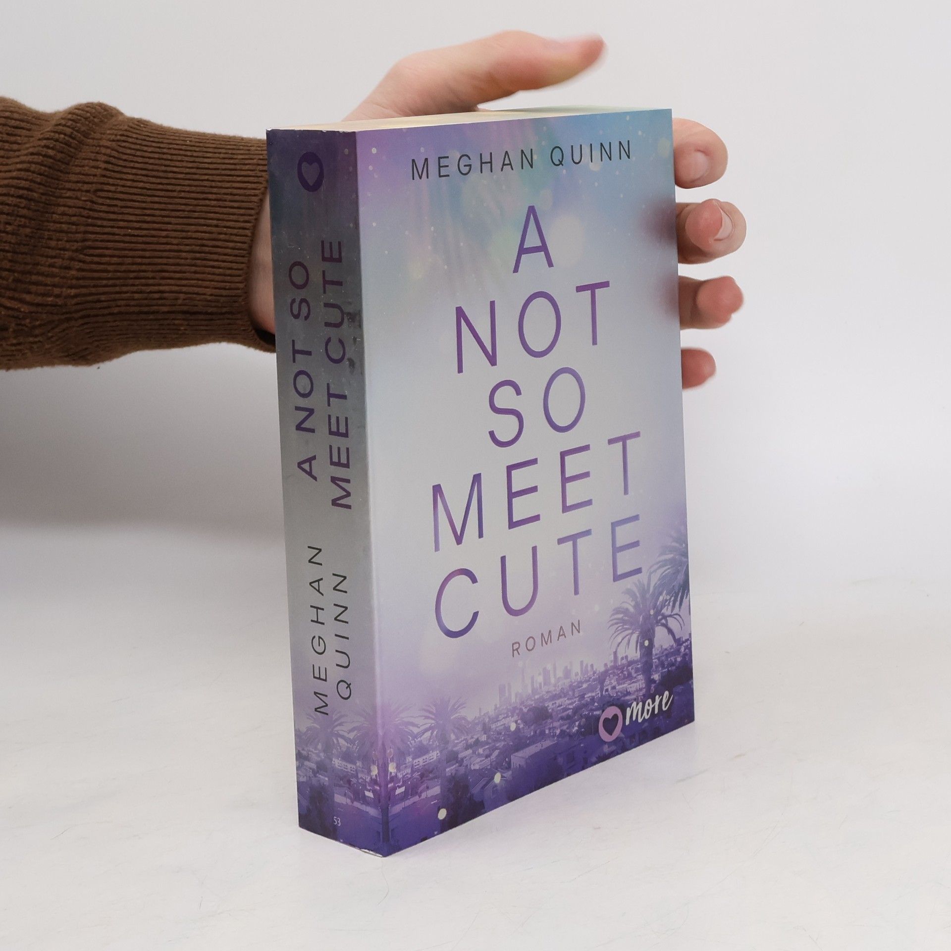 Meghan Quinn A Not So Meet Cute