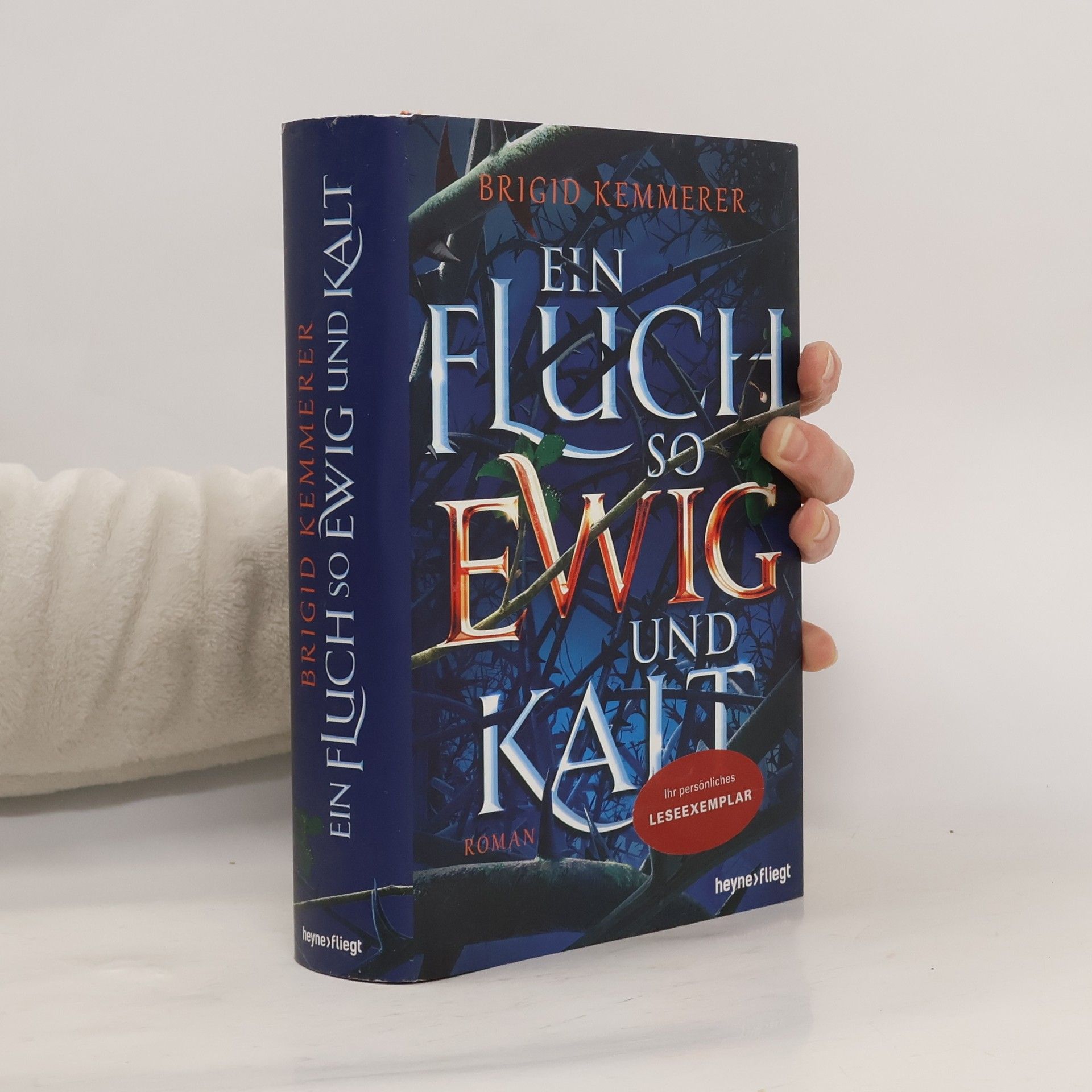 Brigid Kemmerer Ein Fluch so ewig und kalt