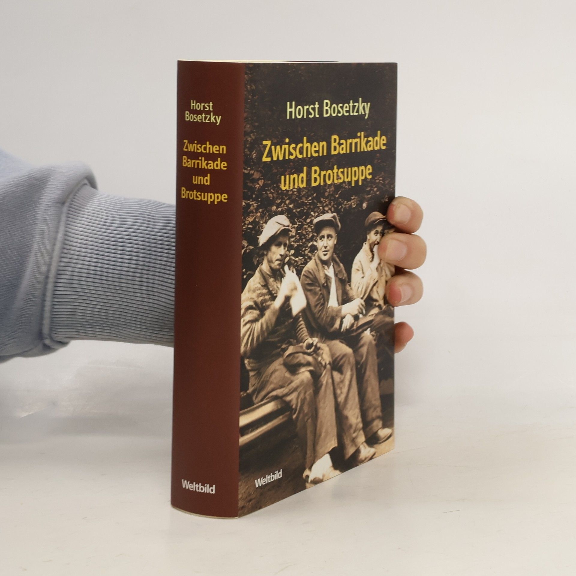 Horst Bosetzky Zwischen Barrikade und Brotsuppe