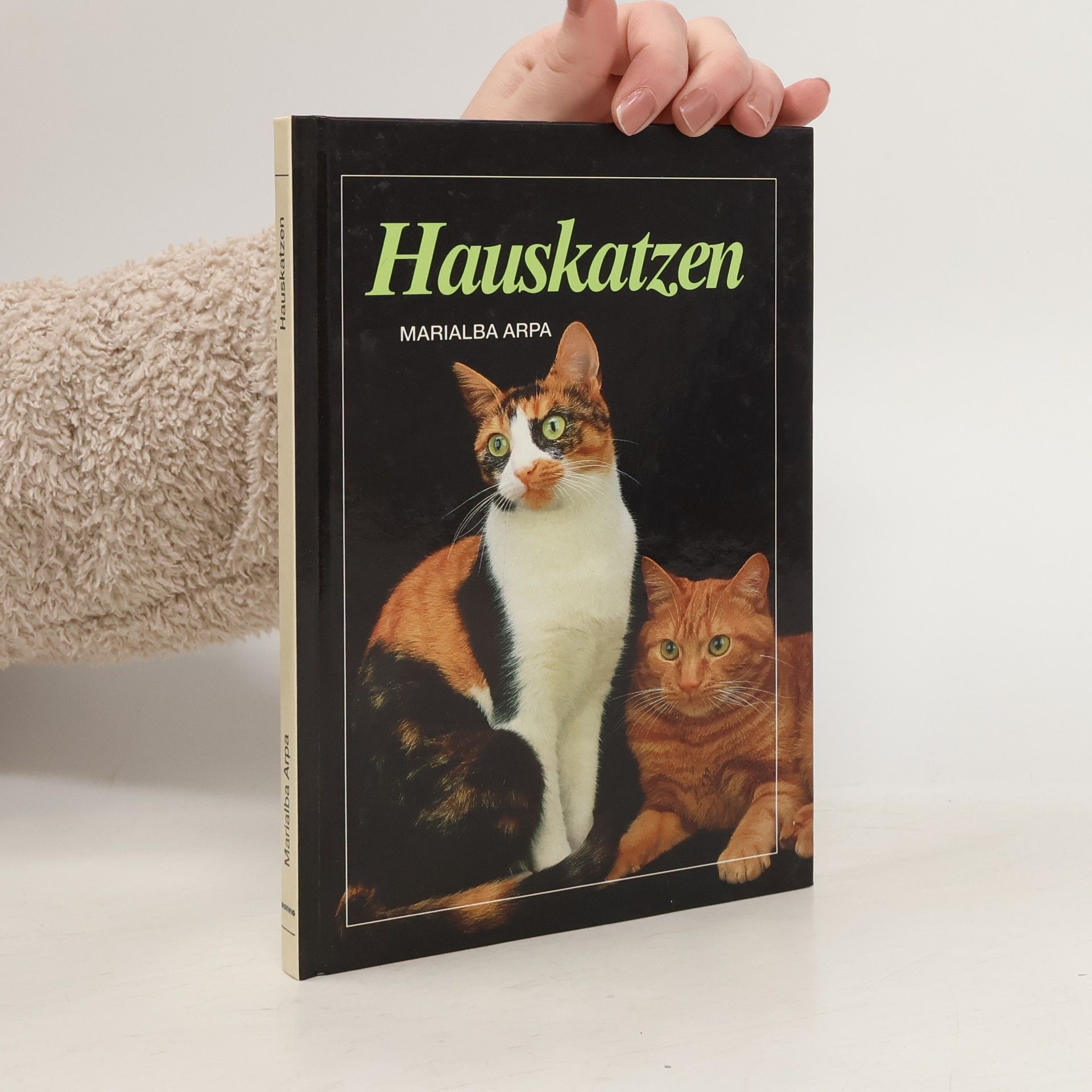 Marialba Arpa Hauskatzen