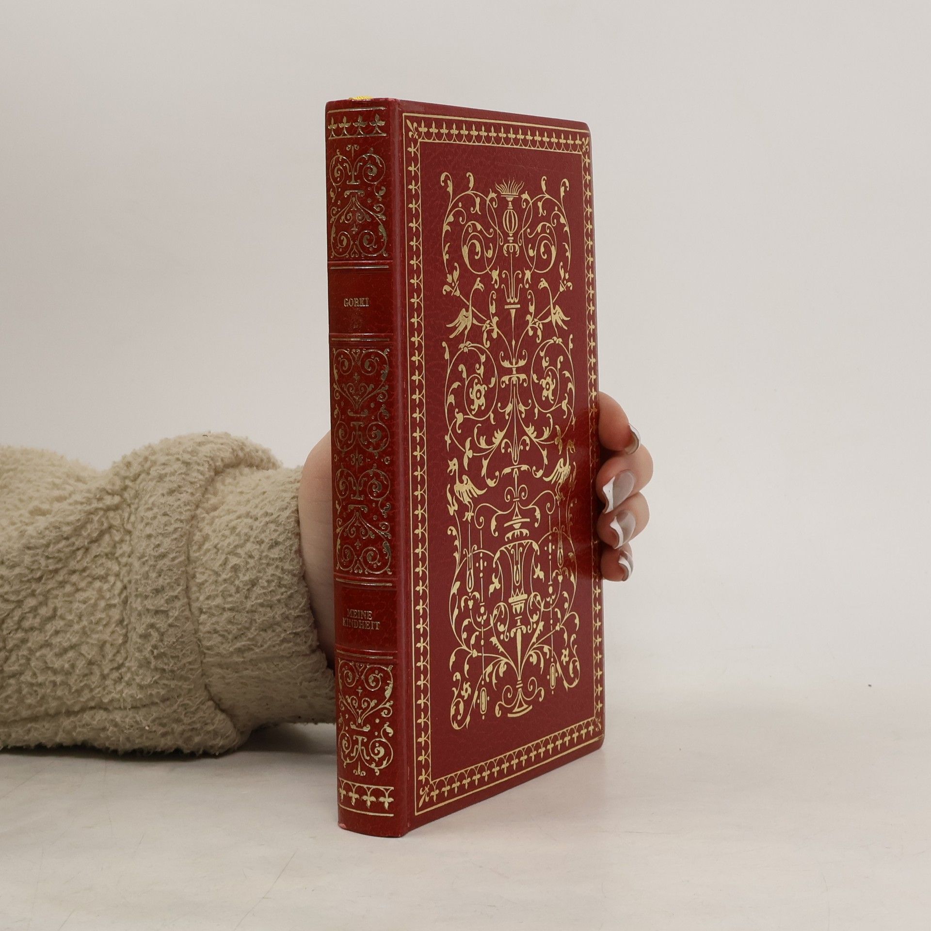 Maxim Gorky Meine Kindheit