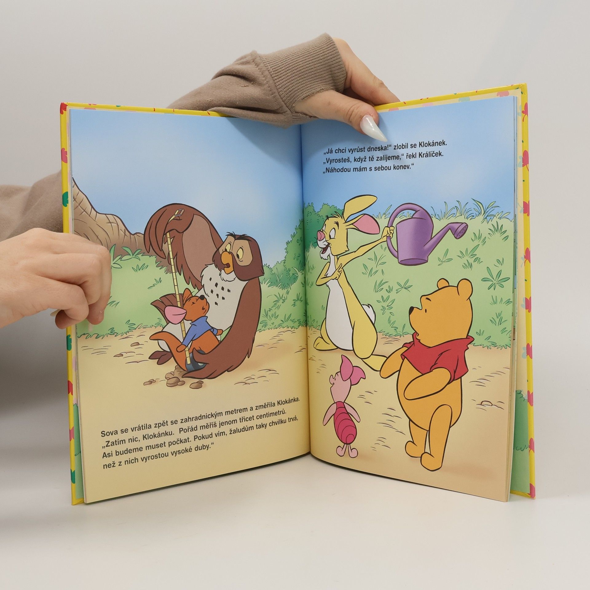 Walt Disney Medvídek Pú - Malý velký klokánek