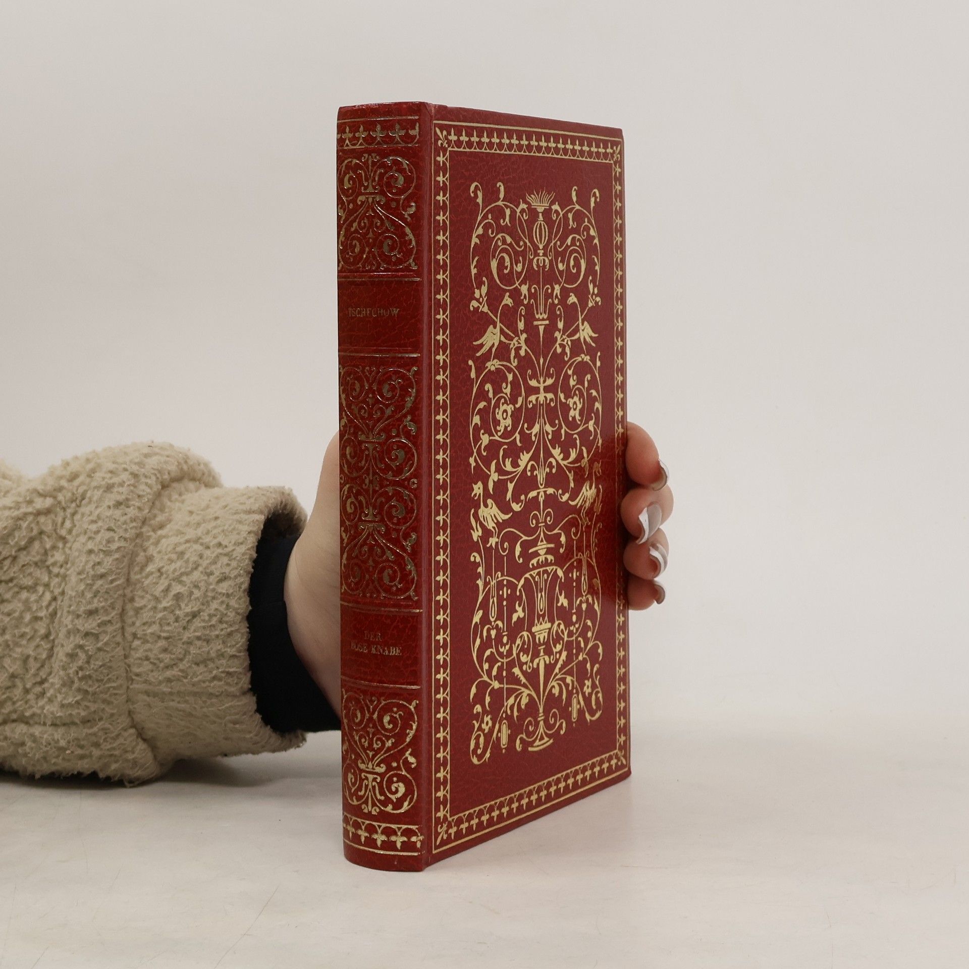 Anton Pavlovič Čechov Der böse Knabe