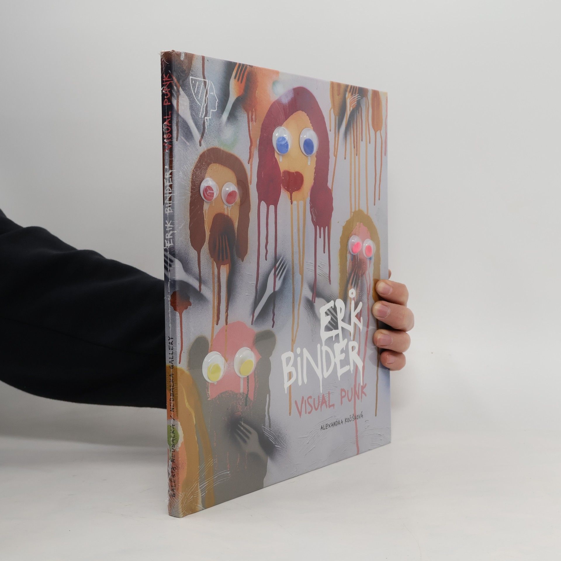 Kočišková Alexandra Erik Binder - Visual Punk