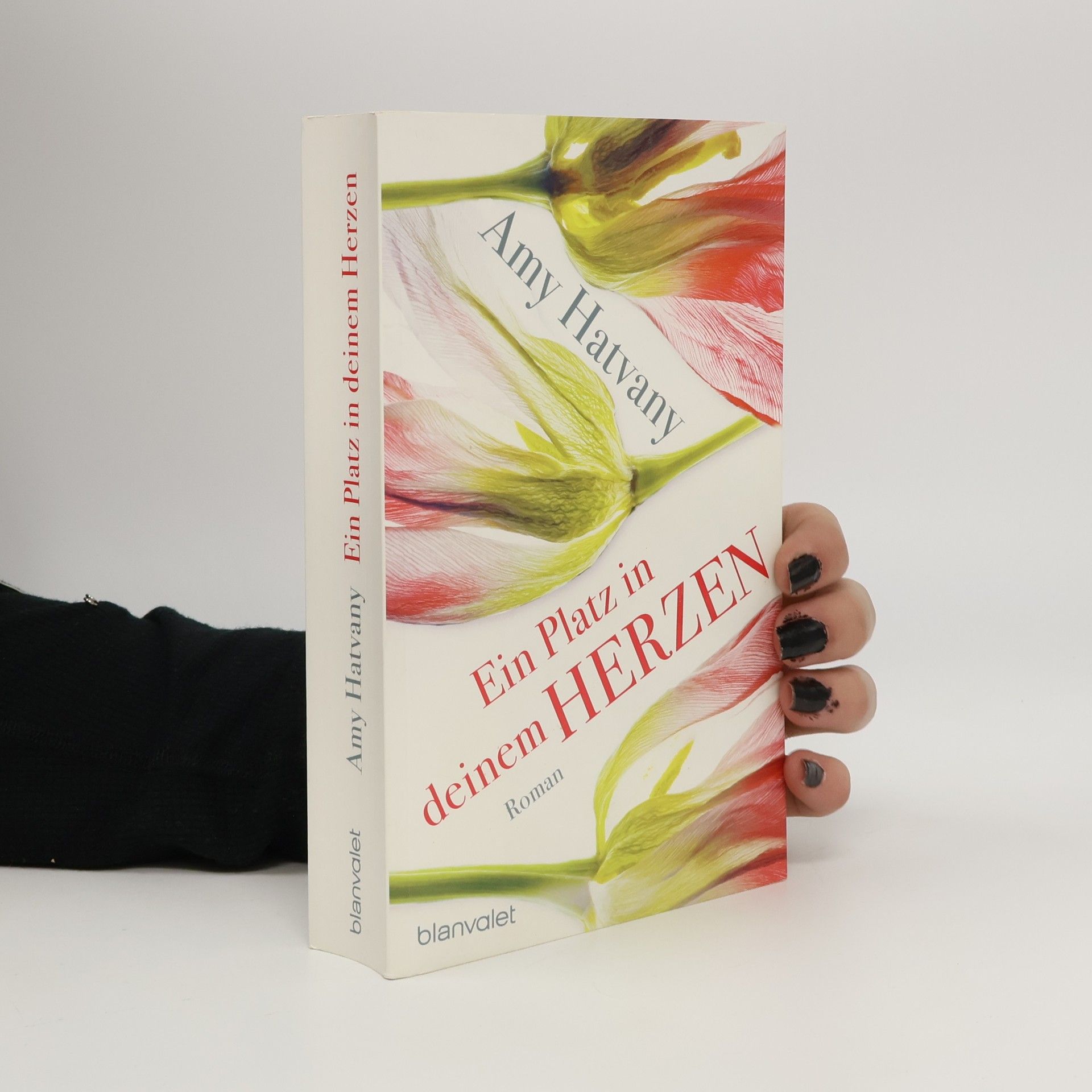 Amy Hatvany Ein Platz in deinem Herzen