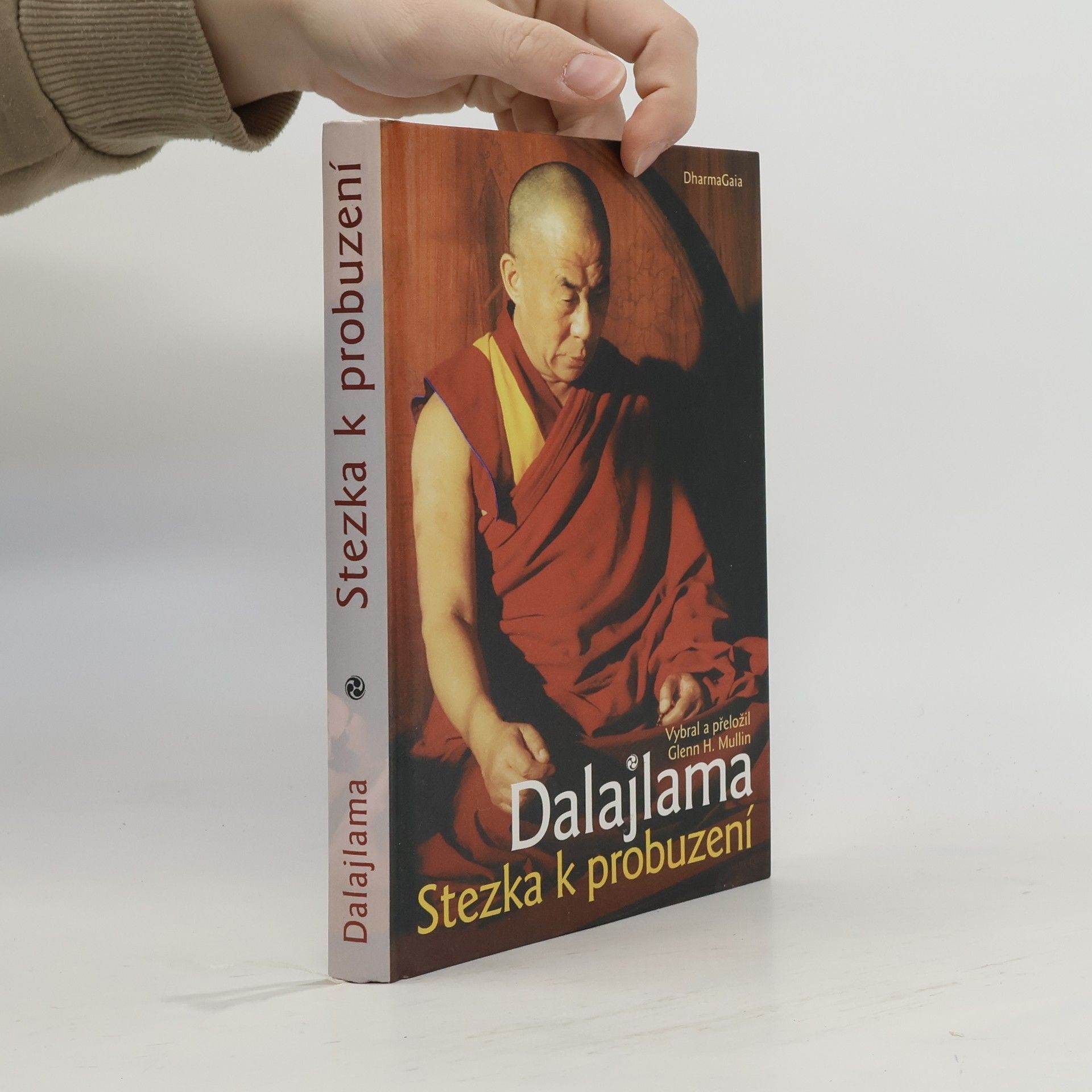 Dalajlama Stezka k probuzení