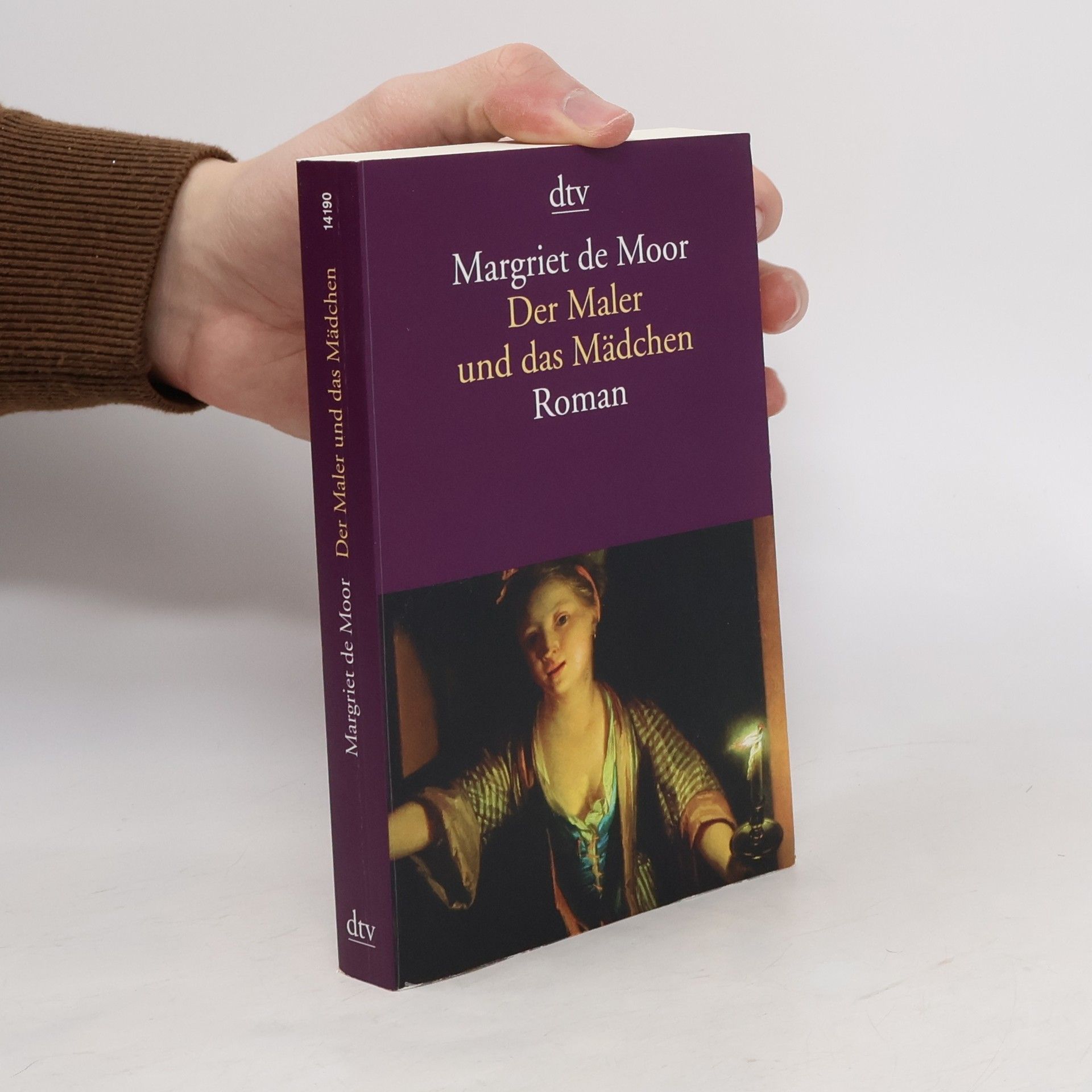 Margriet de Moor Der Maler und das Mädchen