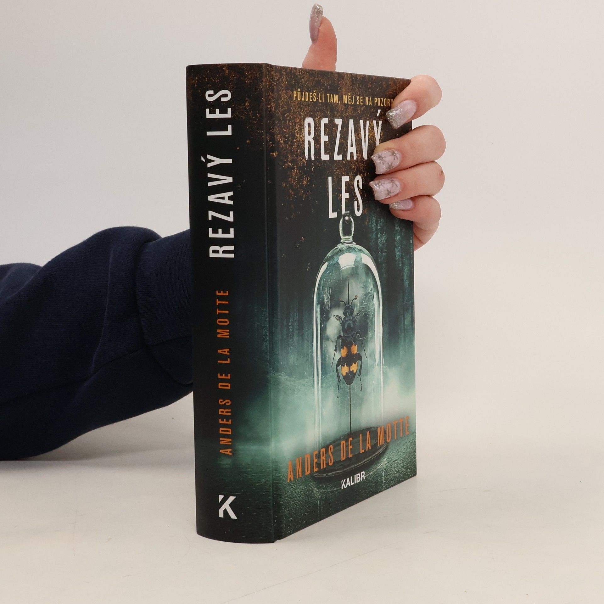 Anders de la Motte Rezavý les