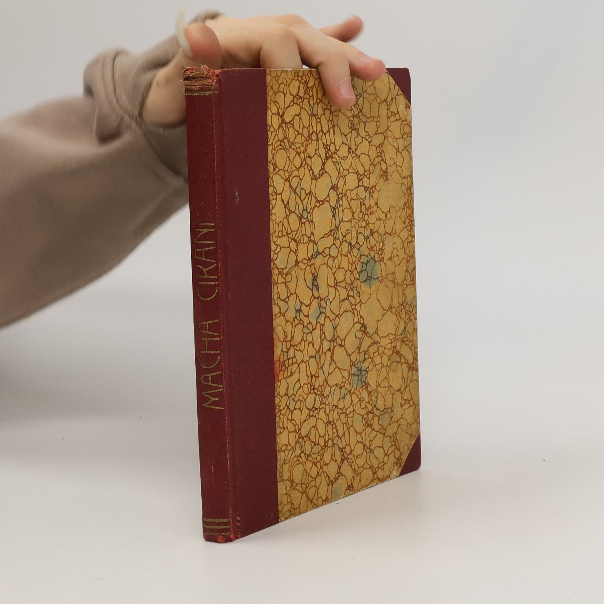 Karel Mácha Cikáni