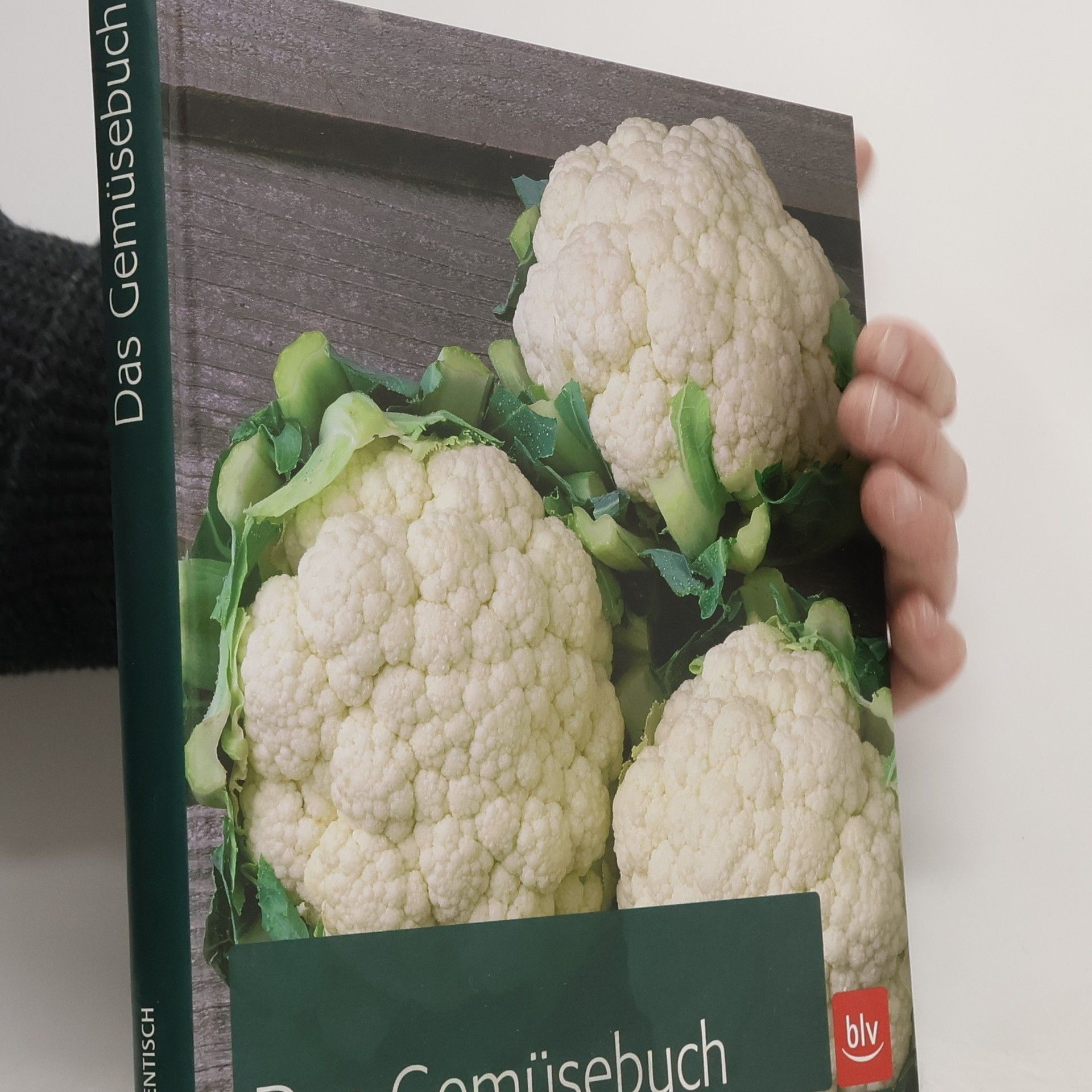 Karen Meyer Rebentisch Das Gemüsebuch