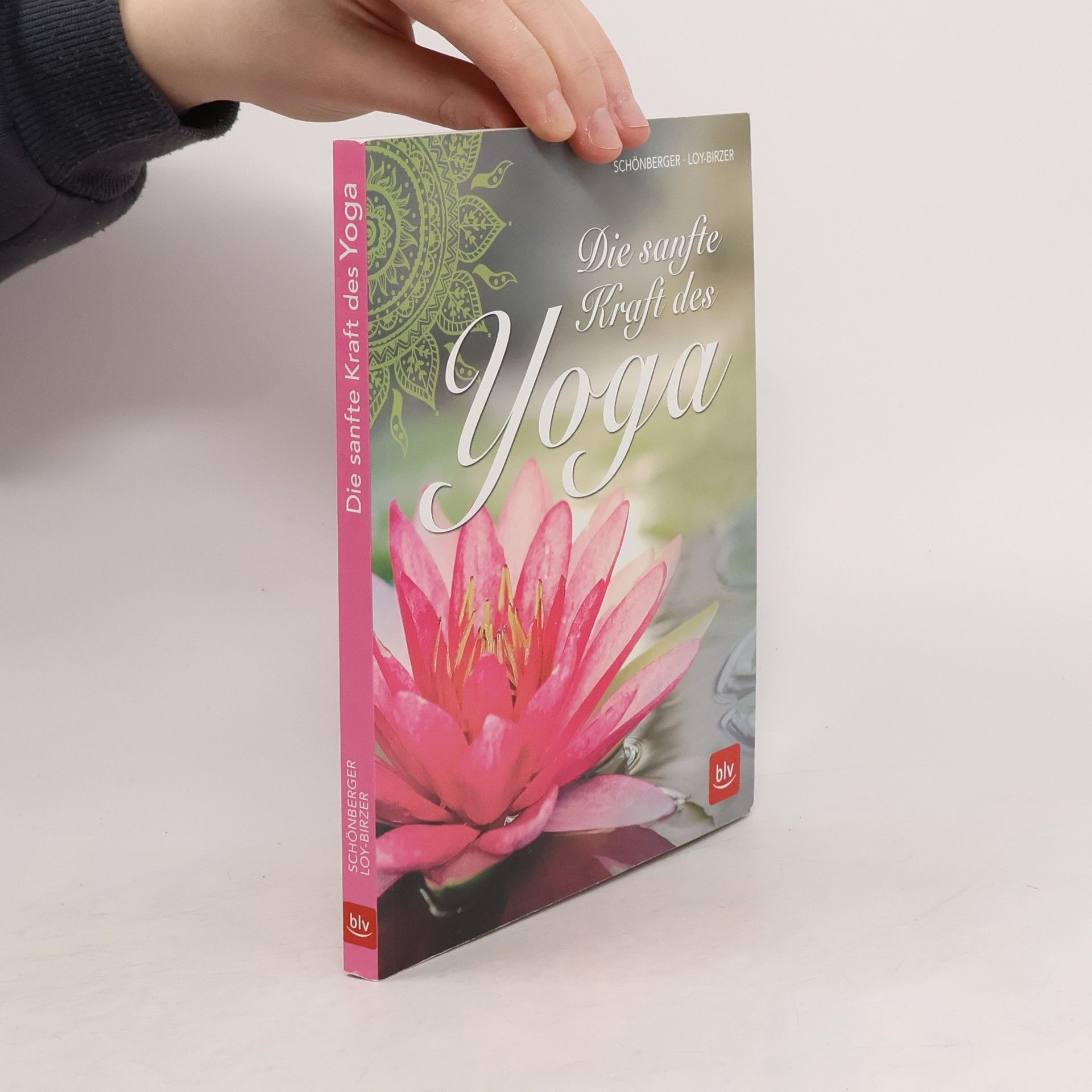 Christina Loy Birzer Die sanfte Kraft des Yoga