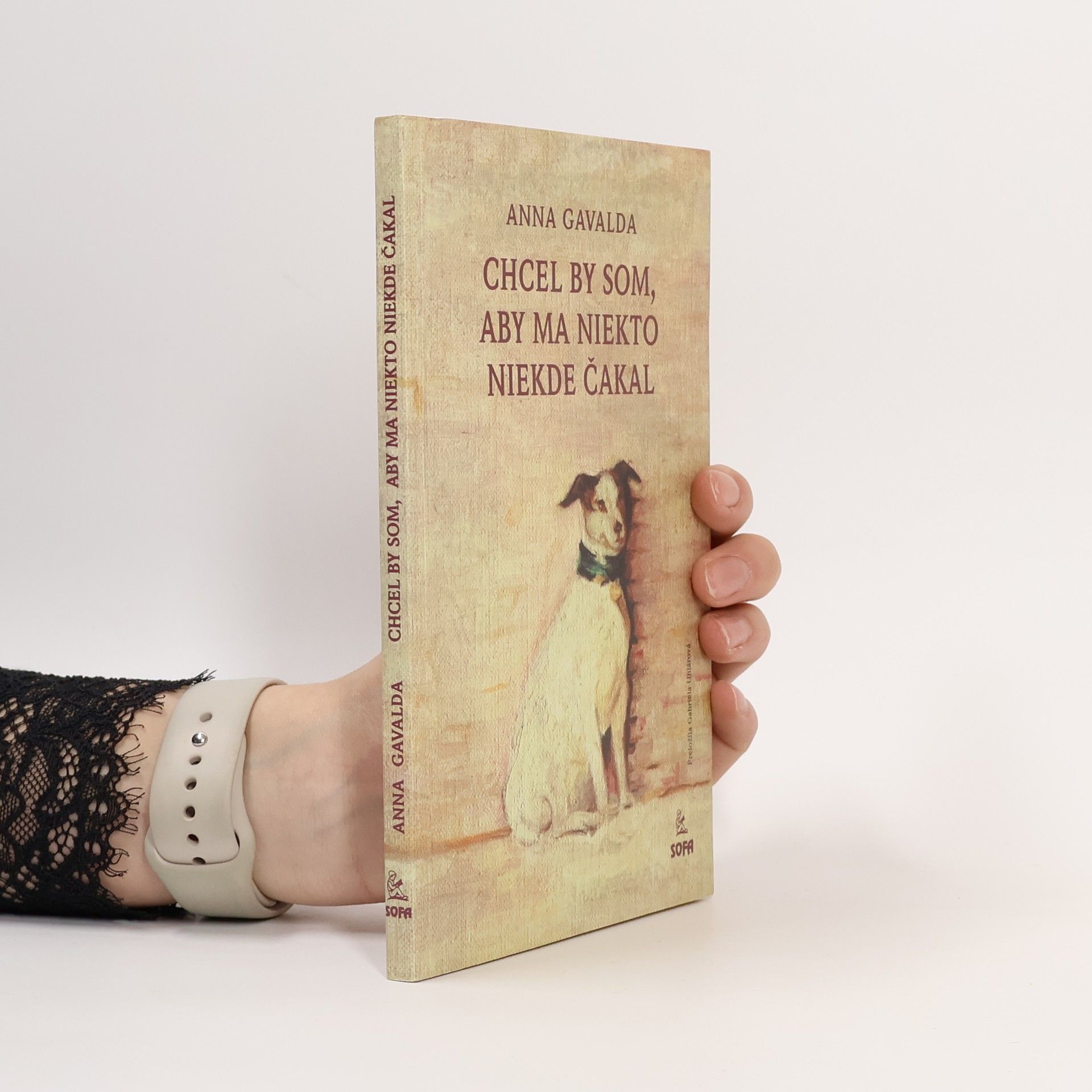 Anna Gavalda Chcel by som, aby na mňa niekto niekde čakal