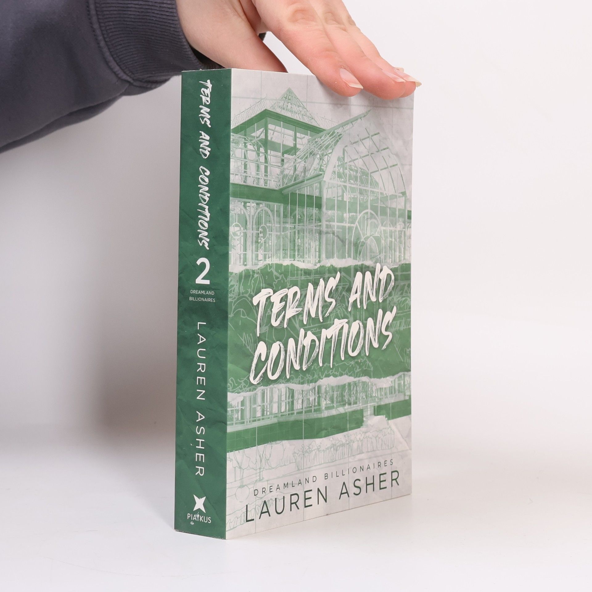 Lauren Asher Dreamland billionaires. Terms and conditions