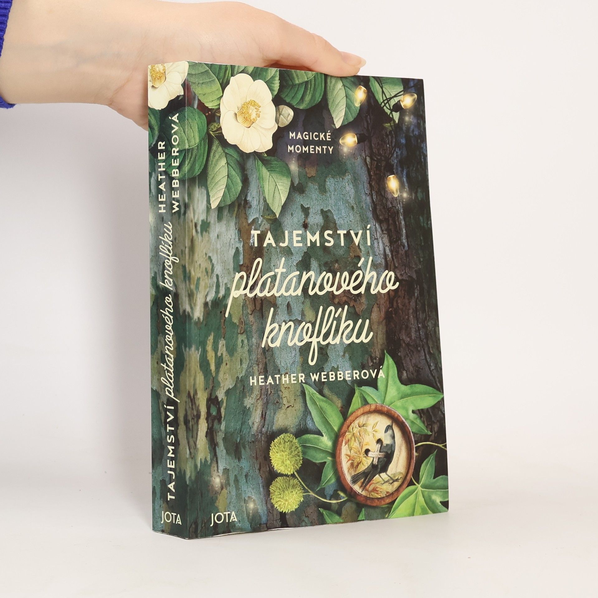 Tajemství platanového knoflíku