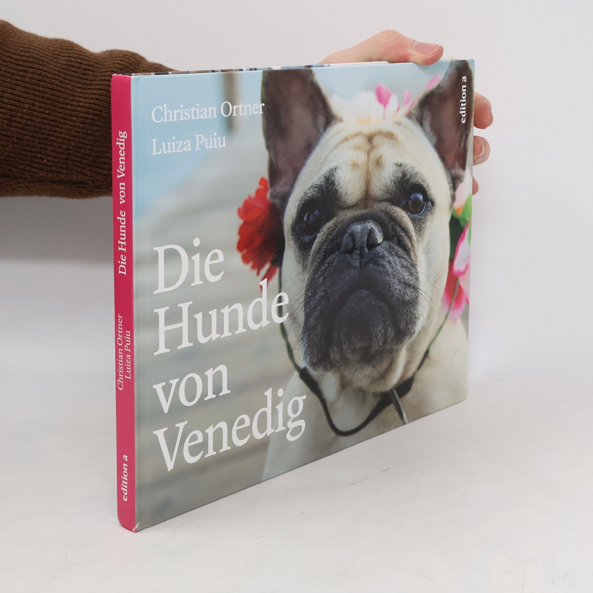 Mario Christian Ortner Die Hunde von Venedig