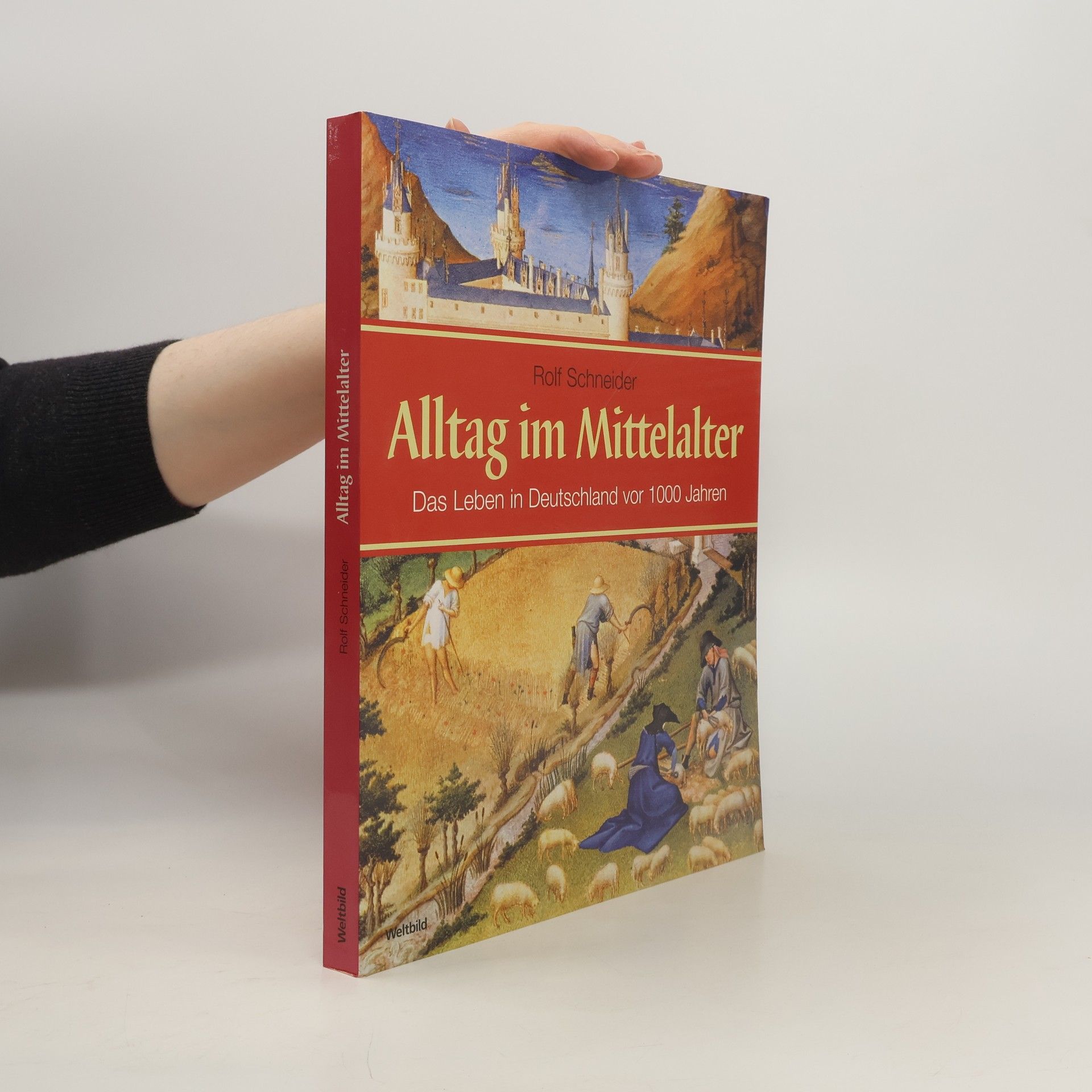 Rolf Schneider Alltag im Mittelalter. Das Leben in Deutschland vor 1000 Jahren