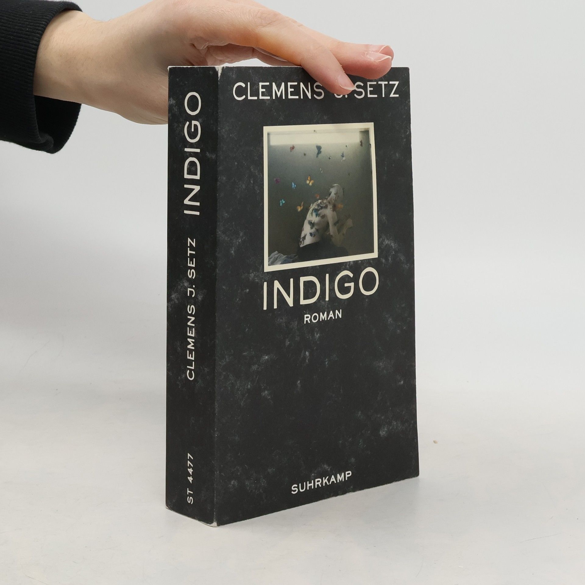 Clemens J. Setz Indigo