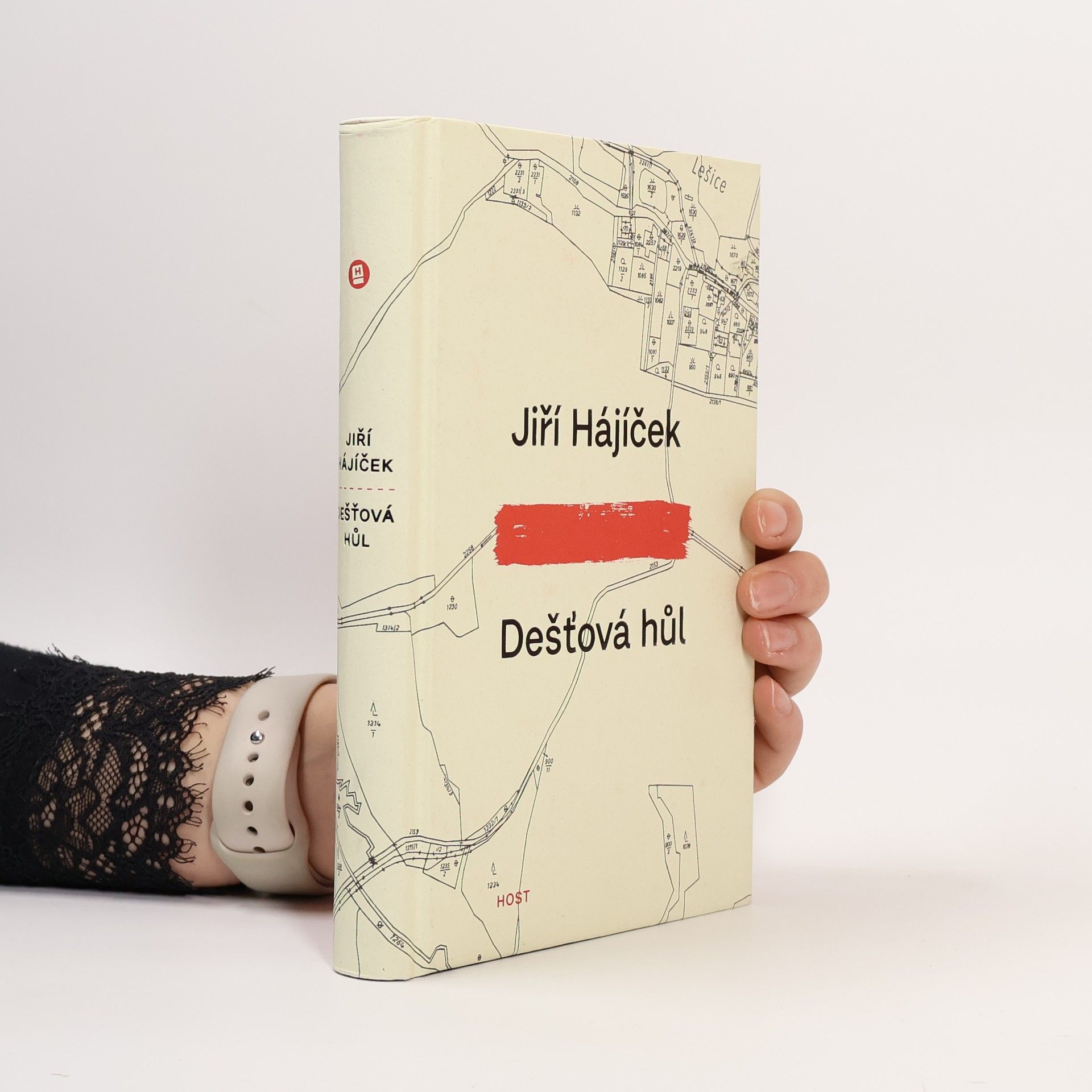 Jiří Hájíček Dešťová hůl