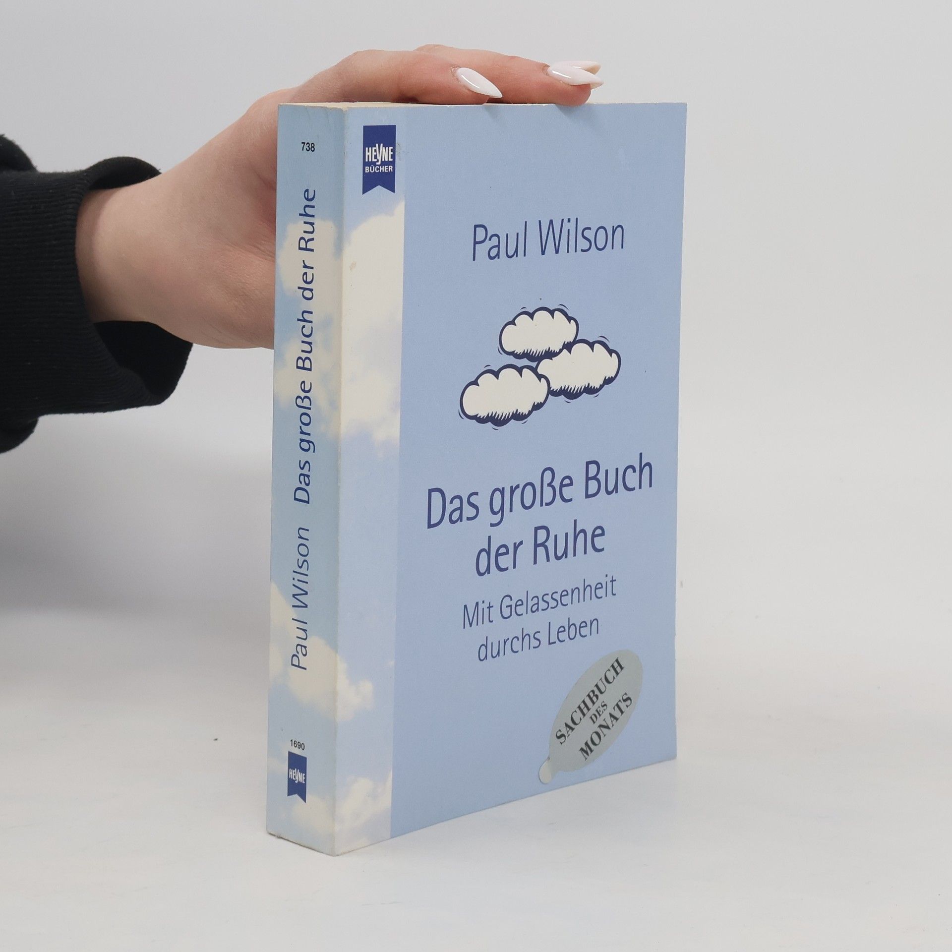 Paul Wilson Das große Buch der Ruhe