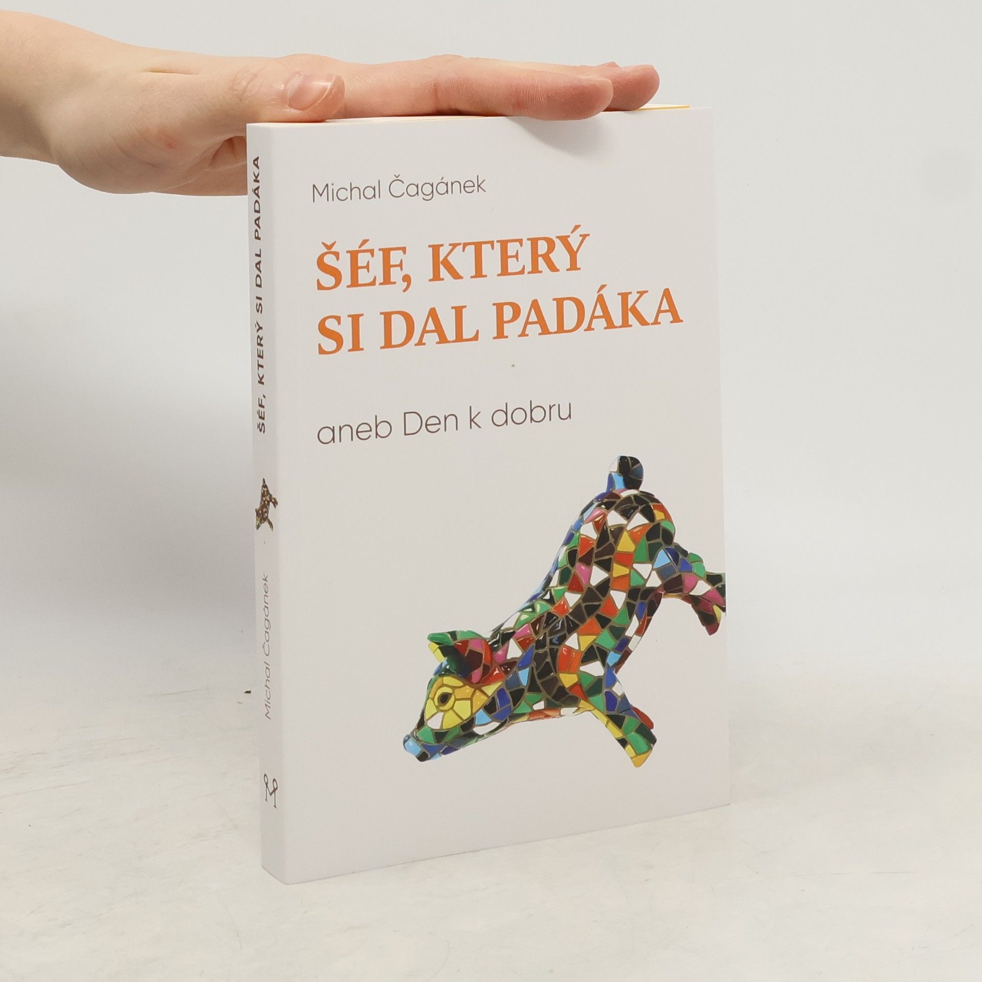 Michal Čagánek Šéf, který si dal padáka