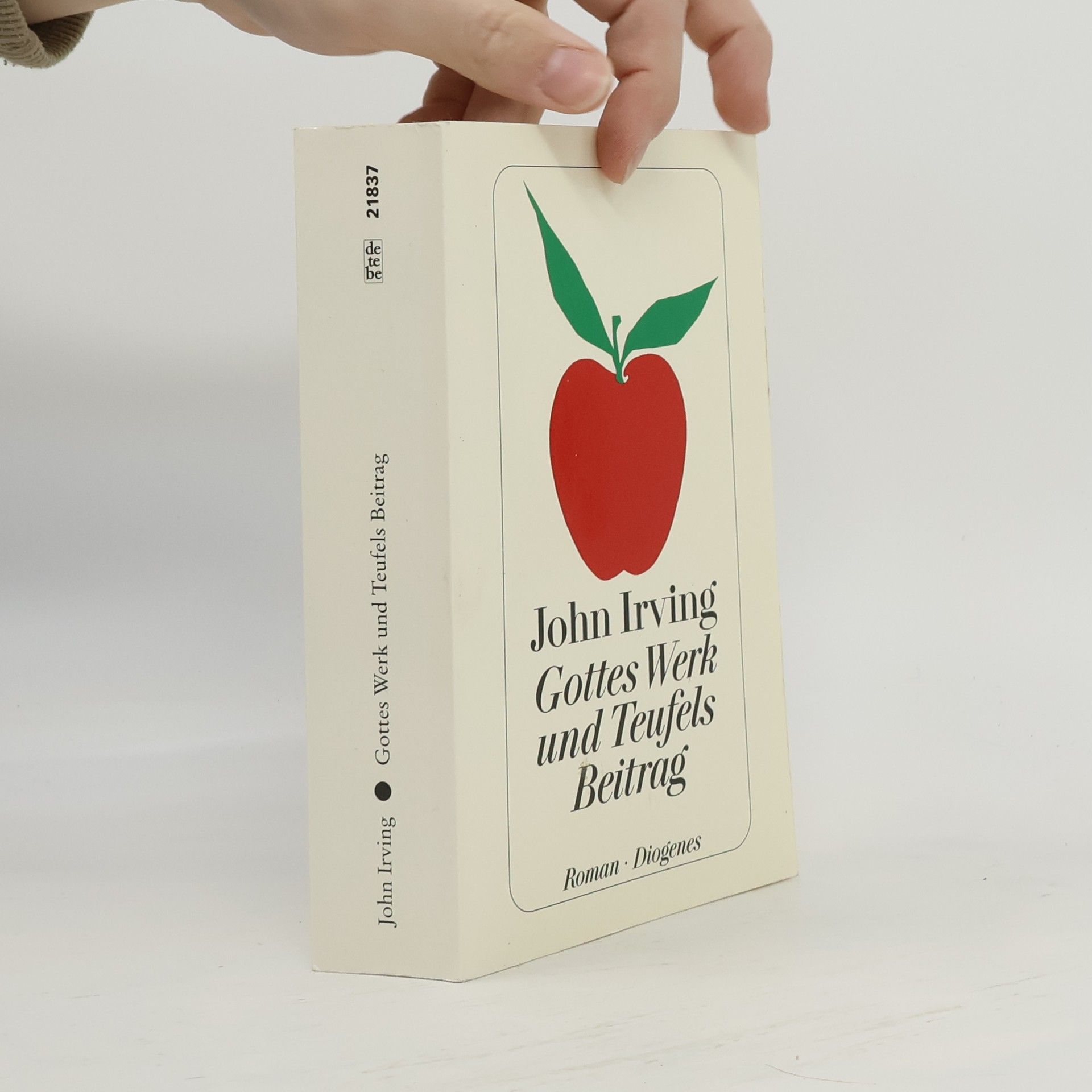 John Irving Gottes Werk und Teufels Beitrag