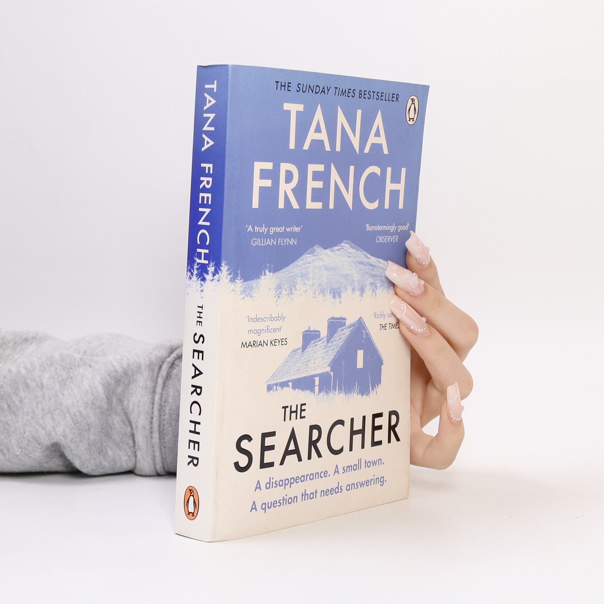 Tana French The Searcher