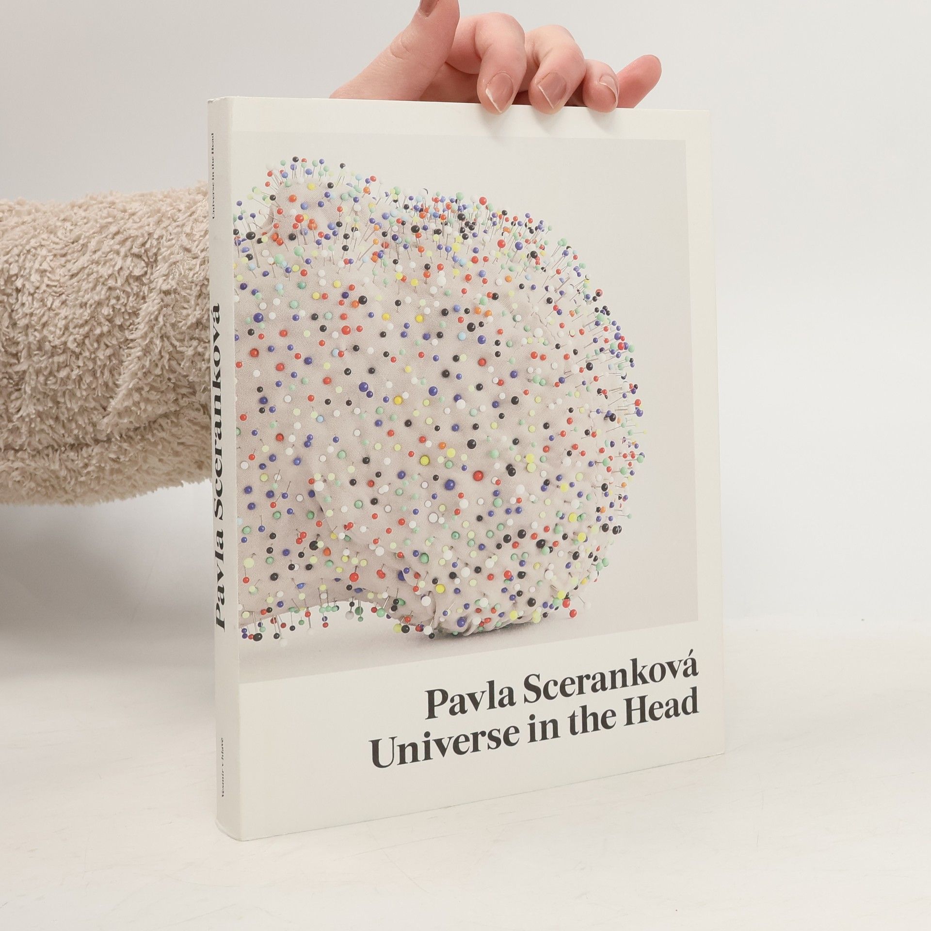 Pavla Sceranková Vesmír v hlavě - Universe in the Head