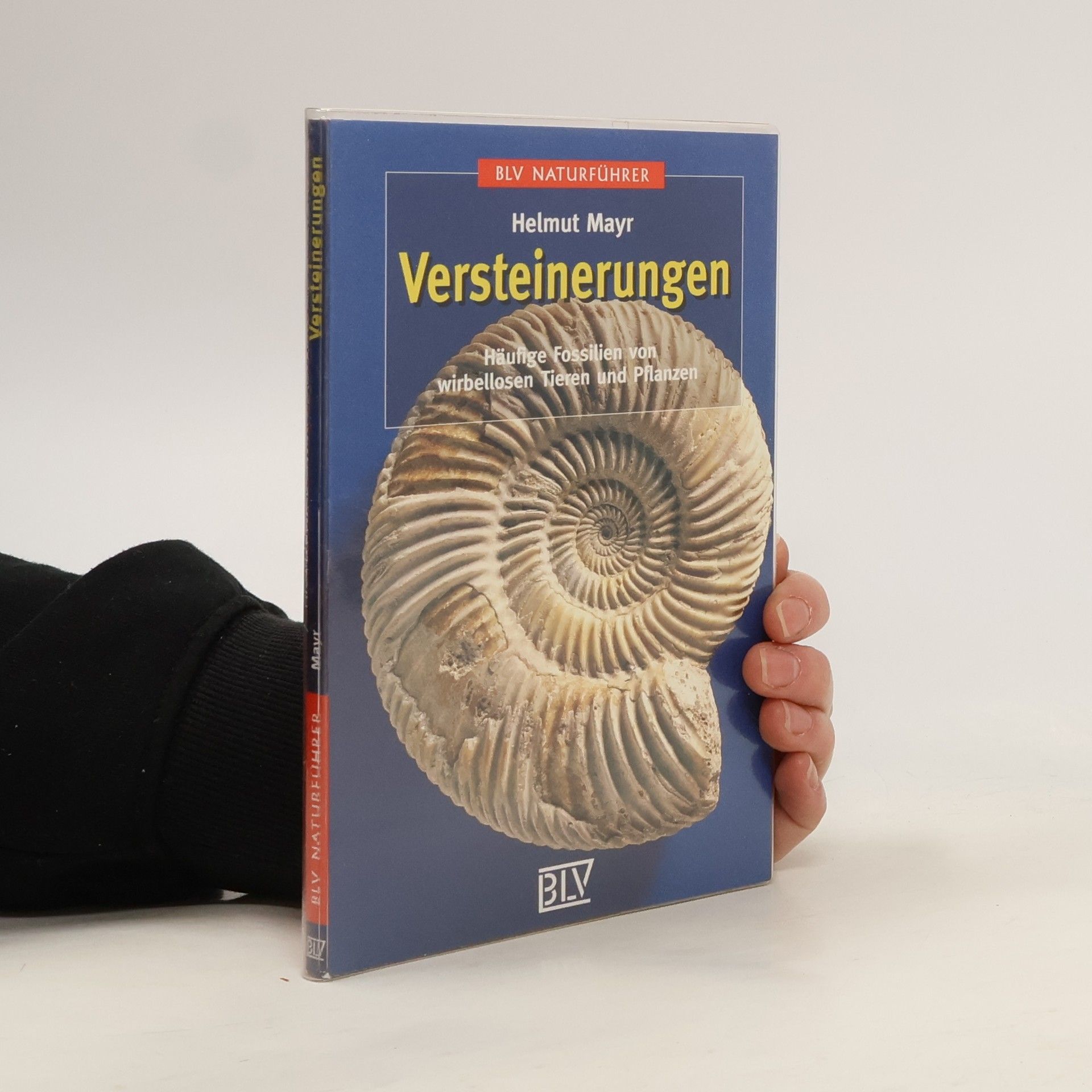 Helmut Mayr Versteinerungen