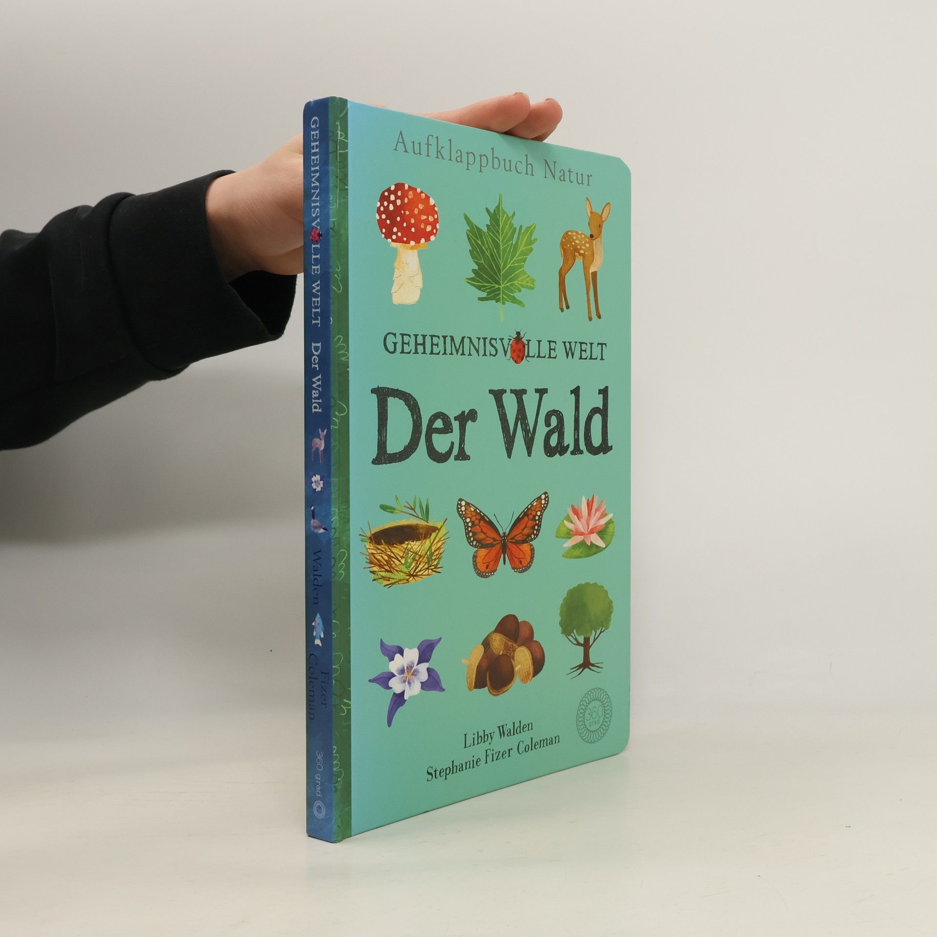 Geheimnisvolle Welt: der Wald