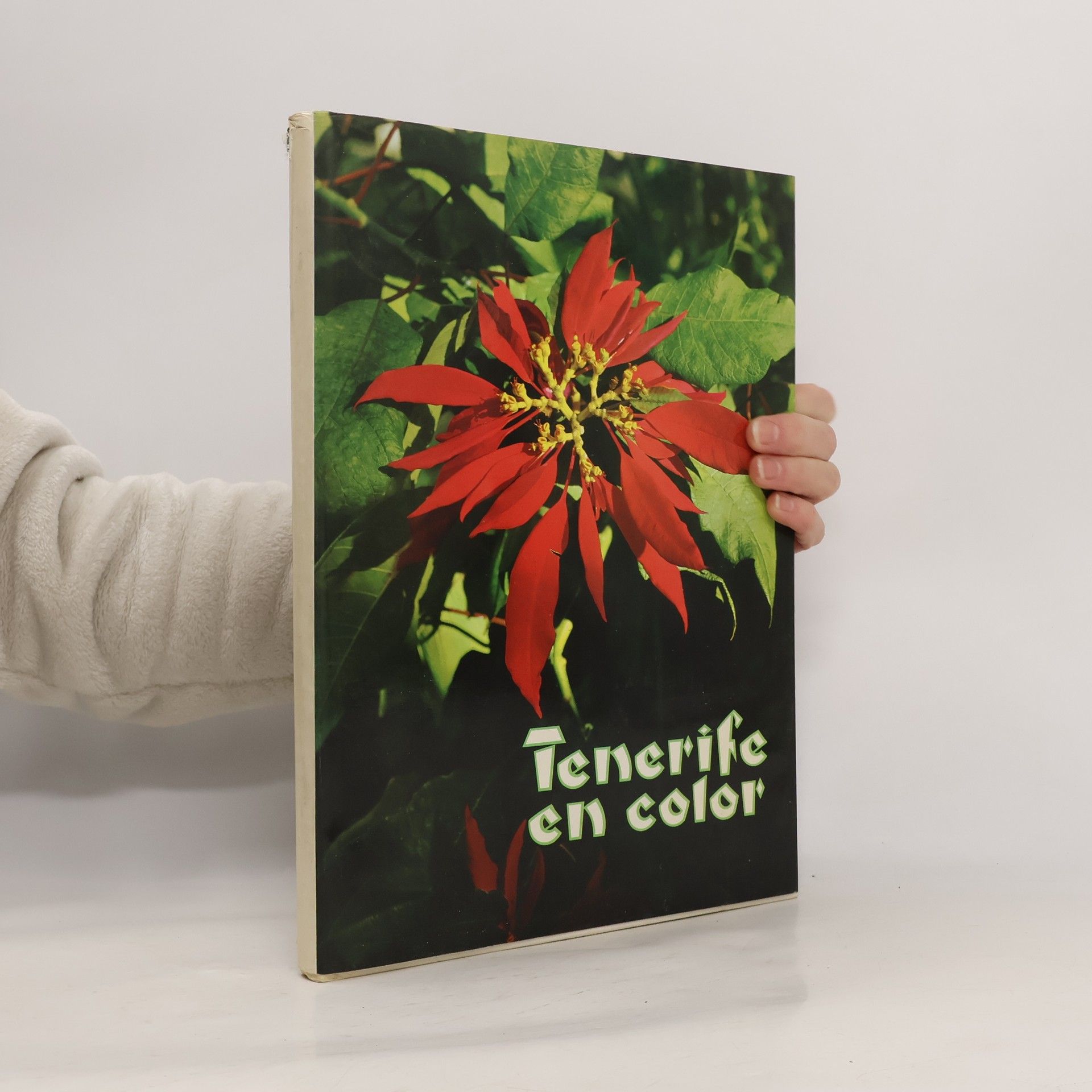 Autores varios Tenerife en color