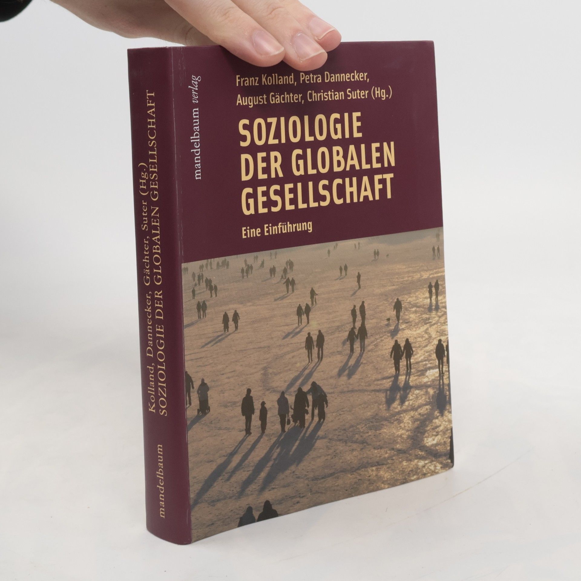 Soziologie der globalen Gesellschaft