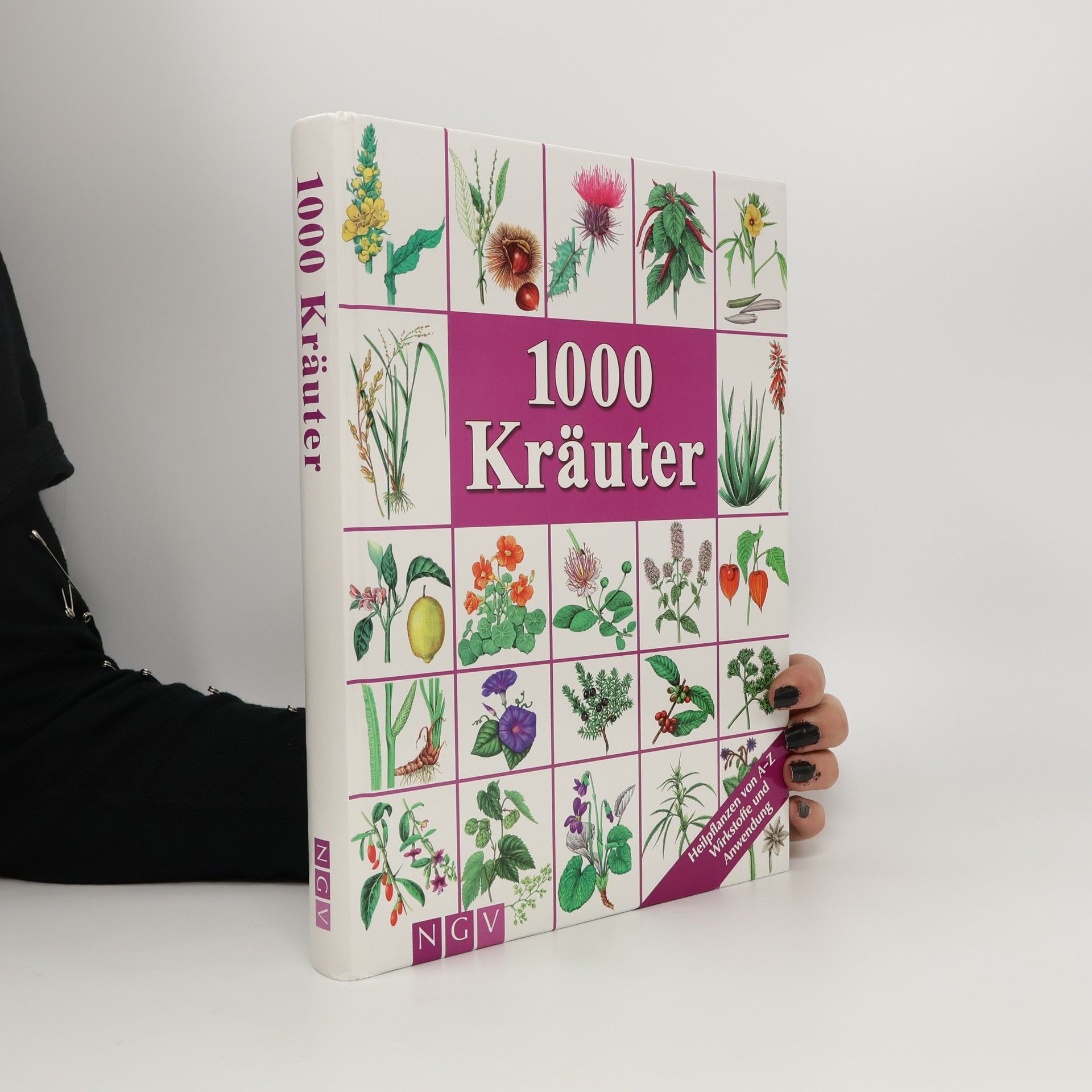 Hans W. Kothe 1000 Kräuter