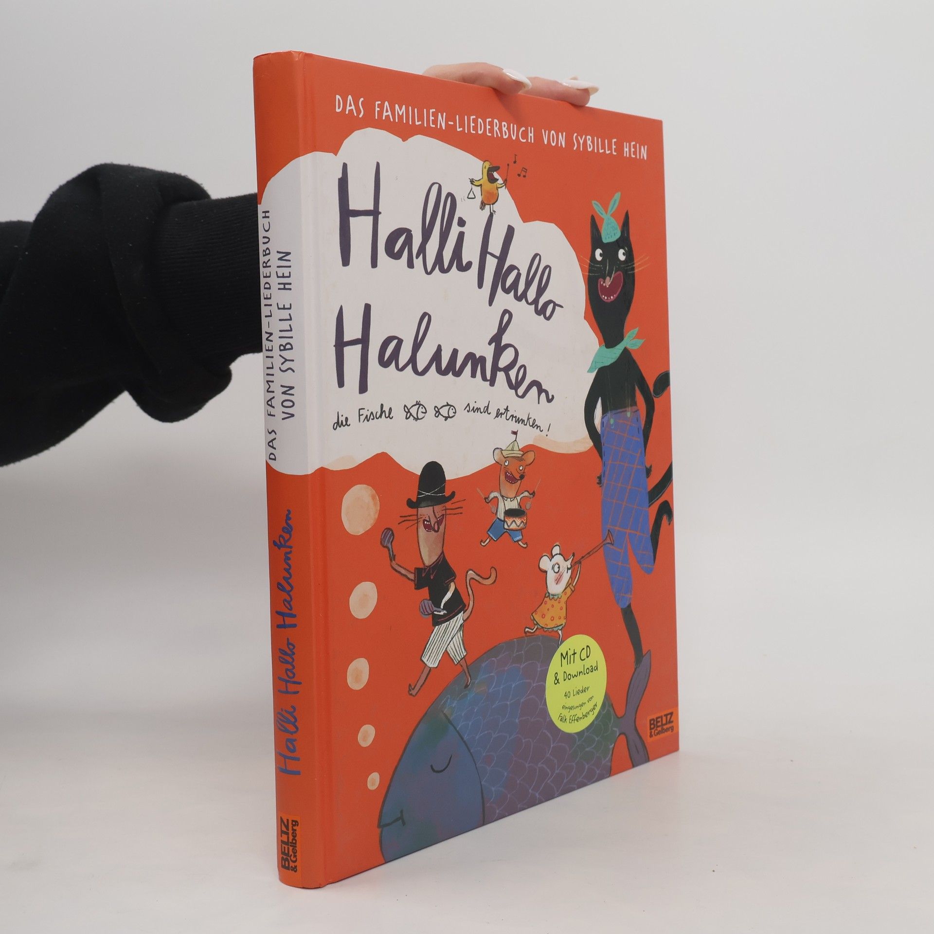 Sybille Hein Halli Hallo Halunken, die Fische sind ertrunken!