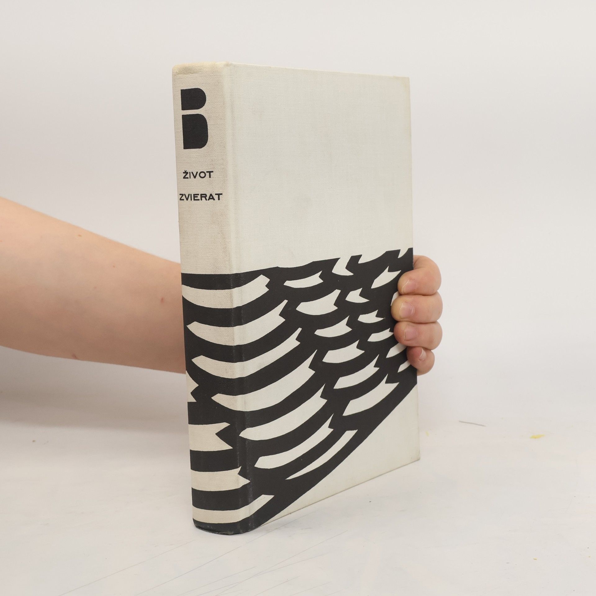 Autorenkollektiv Život zvierat 3: Vtáky