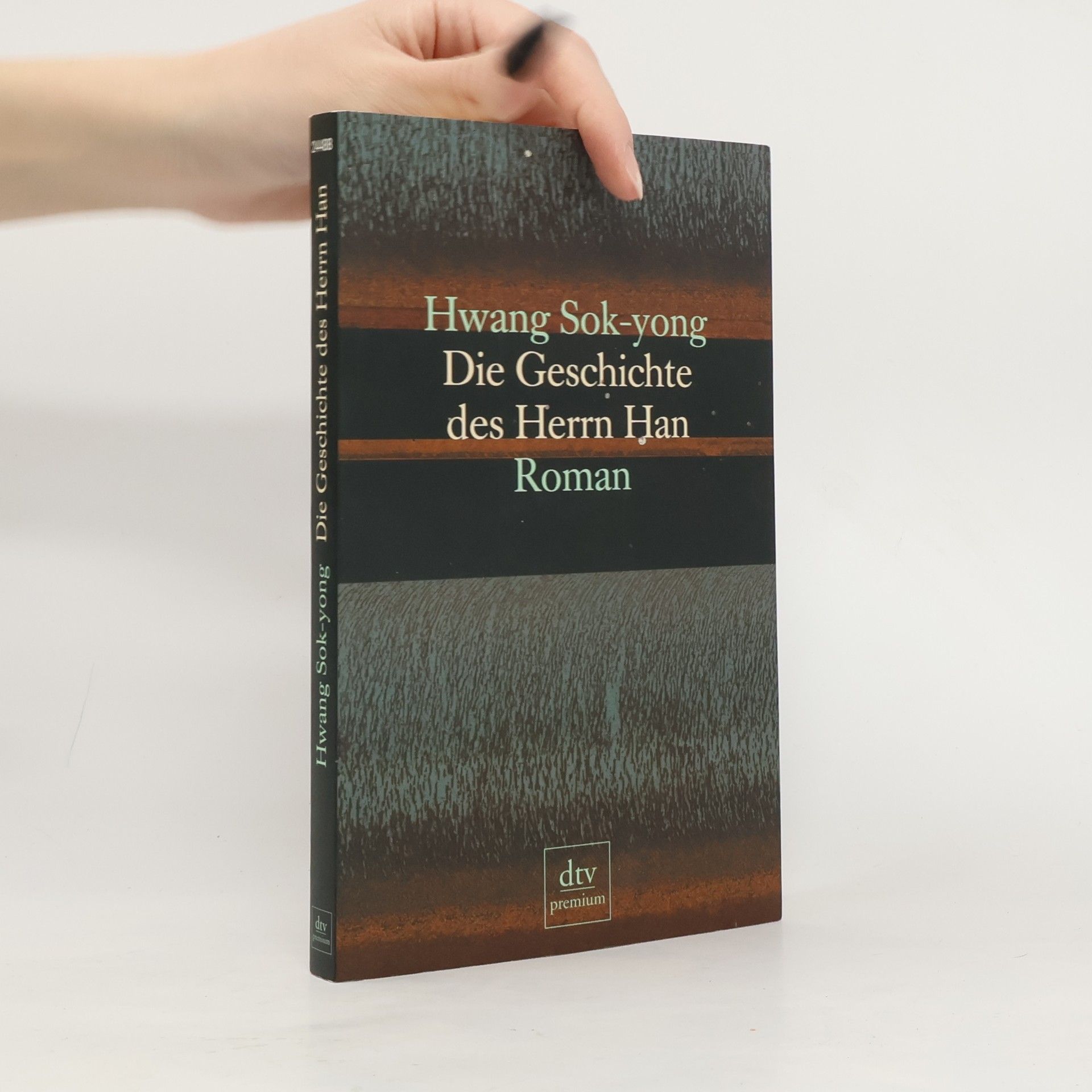 Seog yeong Hwang Die Geschichte des Herrn Han