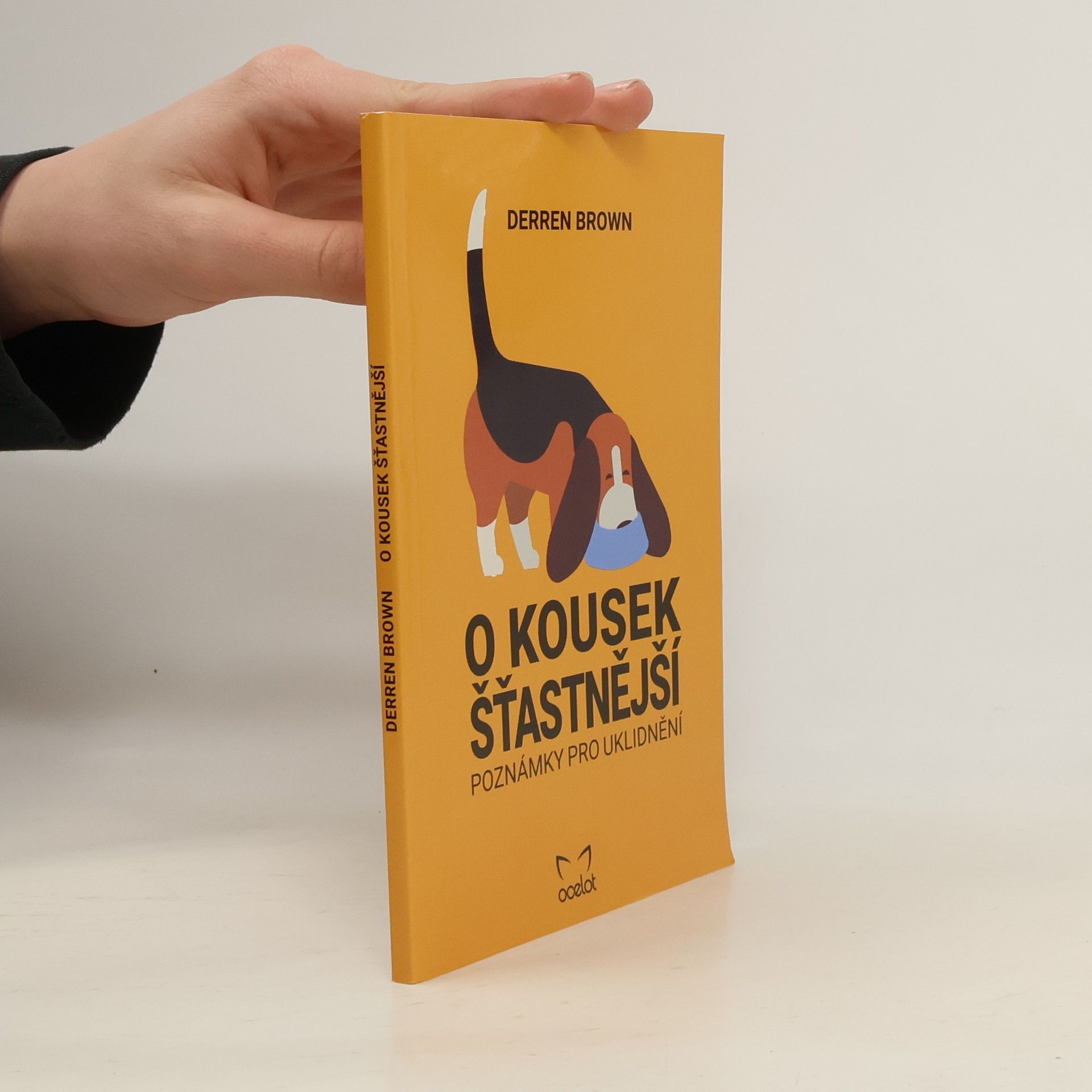 Derren Brown O kousek šťastnější