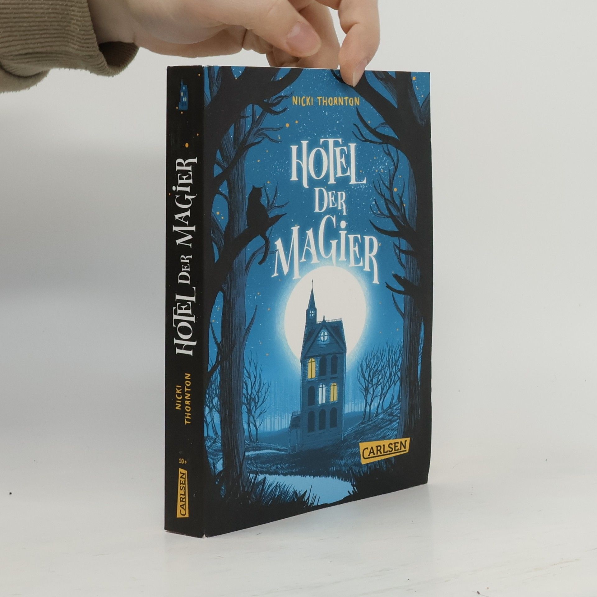 Nicki Thornton Hotel der Magier (Hotel der Magier 1)