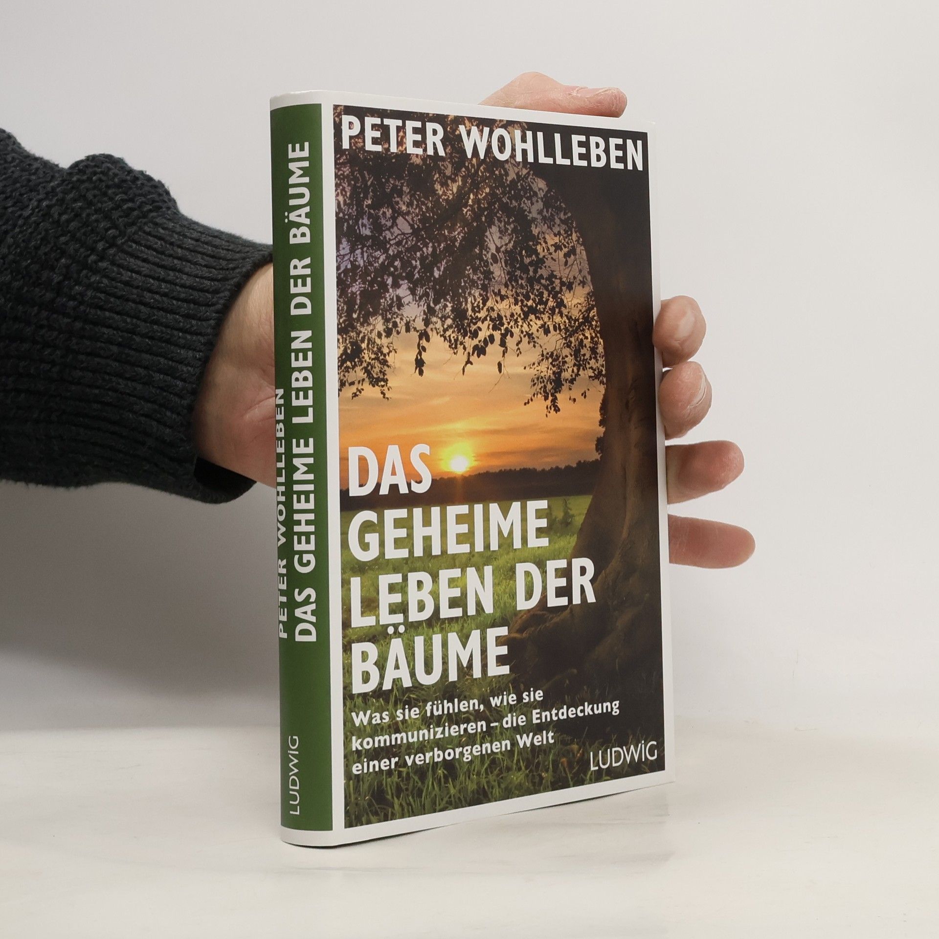Peter Wohlleben Das geheime Leben der Bäume
