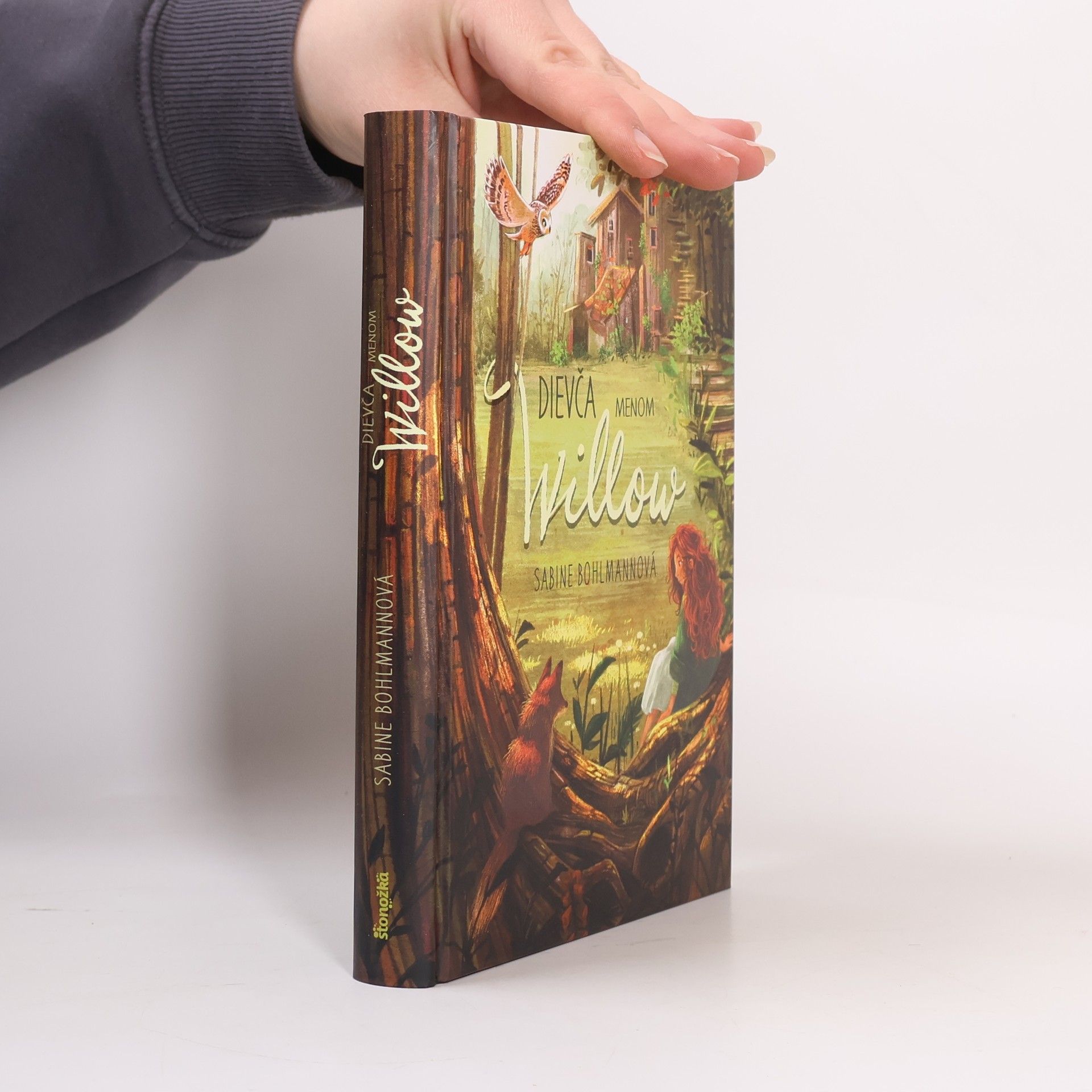 Sabine Bohlmann Dievča menom Willow