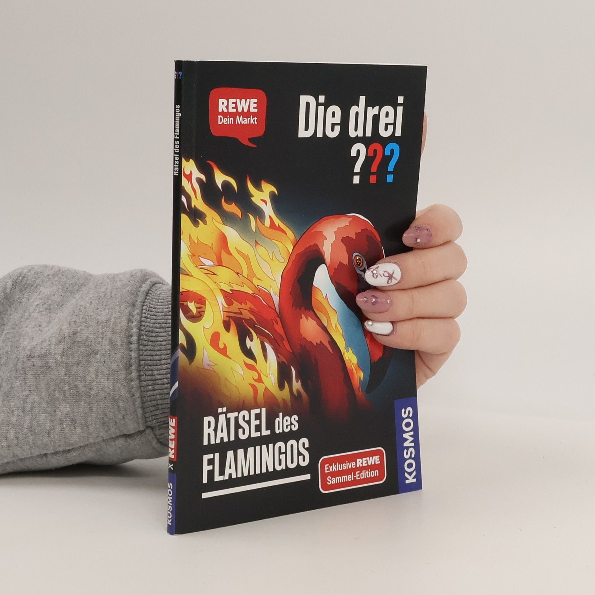 Andreas Ruch Die drei??? Rätsel des Flamingos