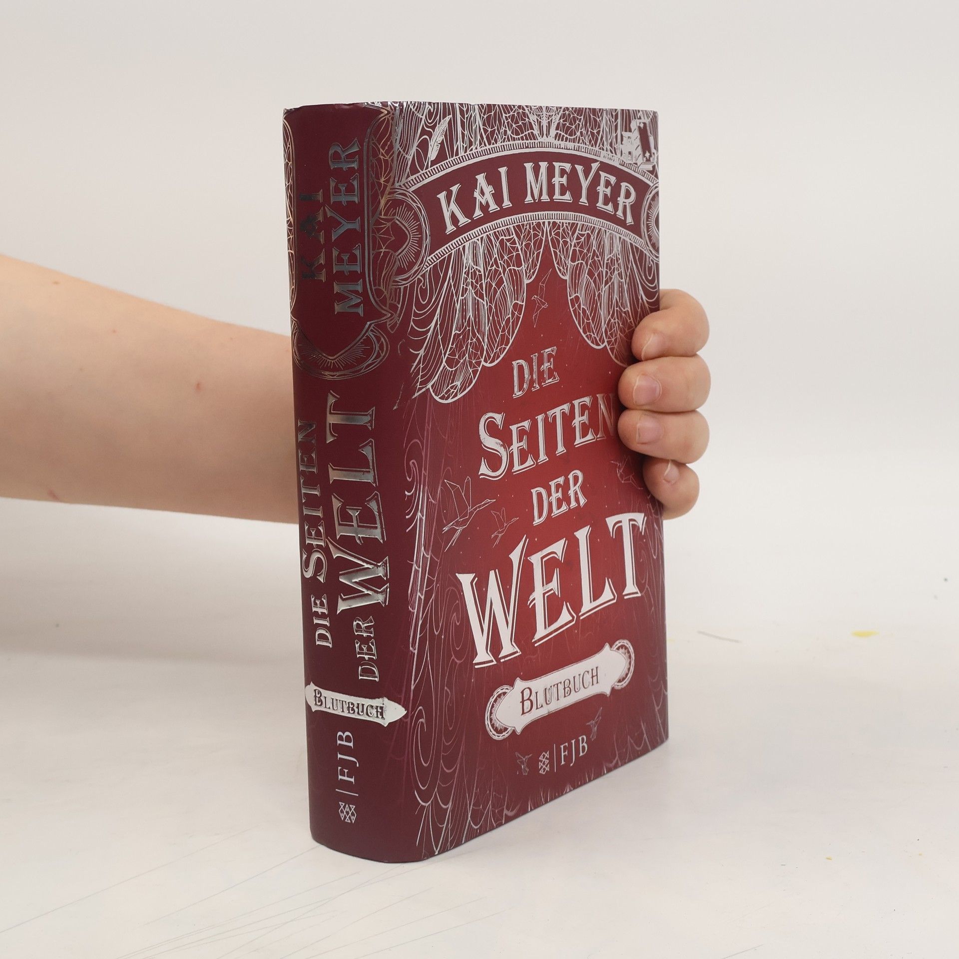 Kai Meyer Die Seiten der Welt - Blutbuch