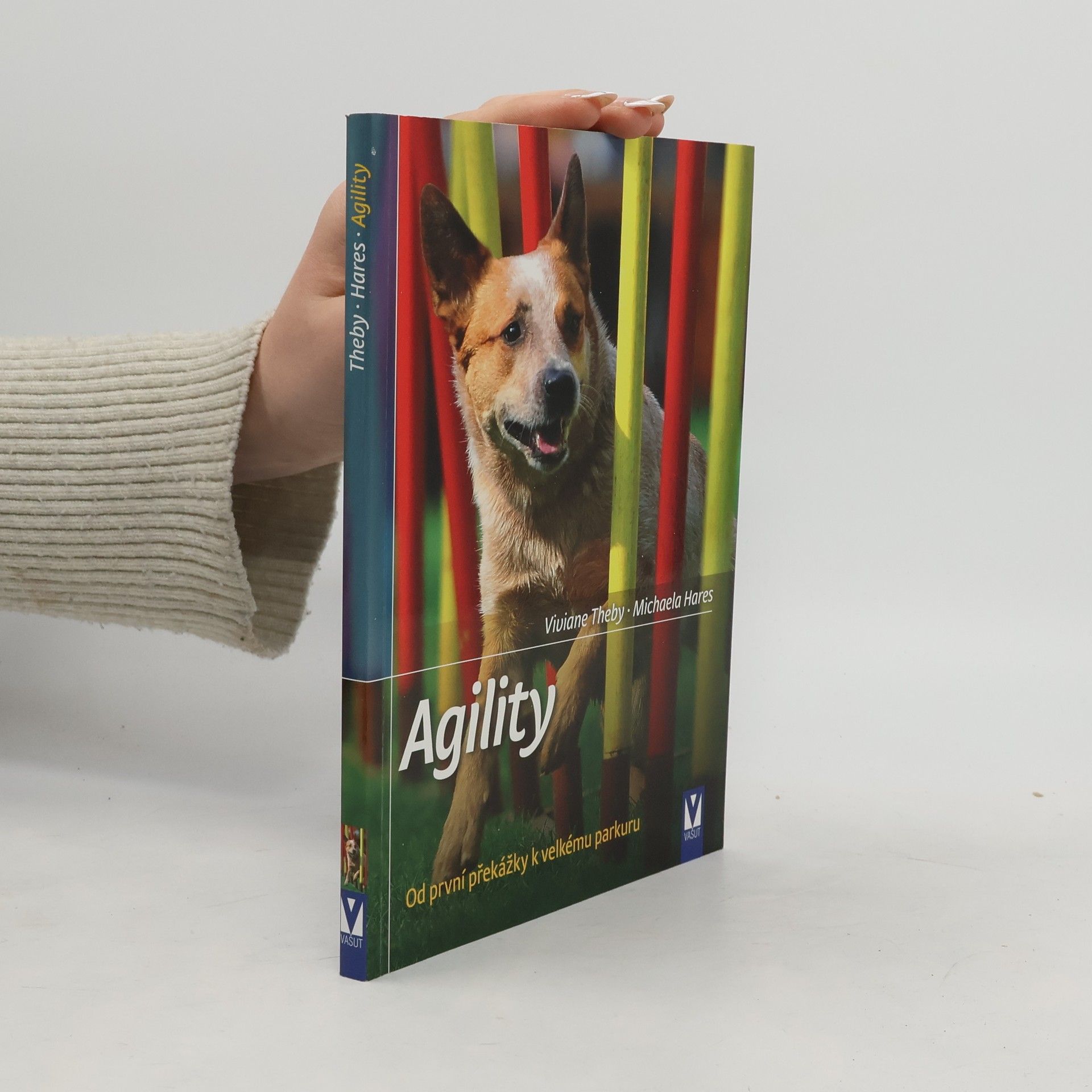 Agility - Od první překážky k velkému parkuru