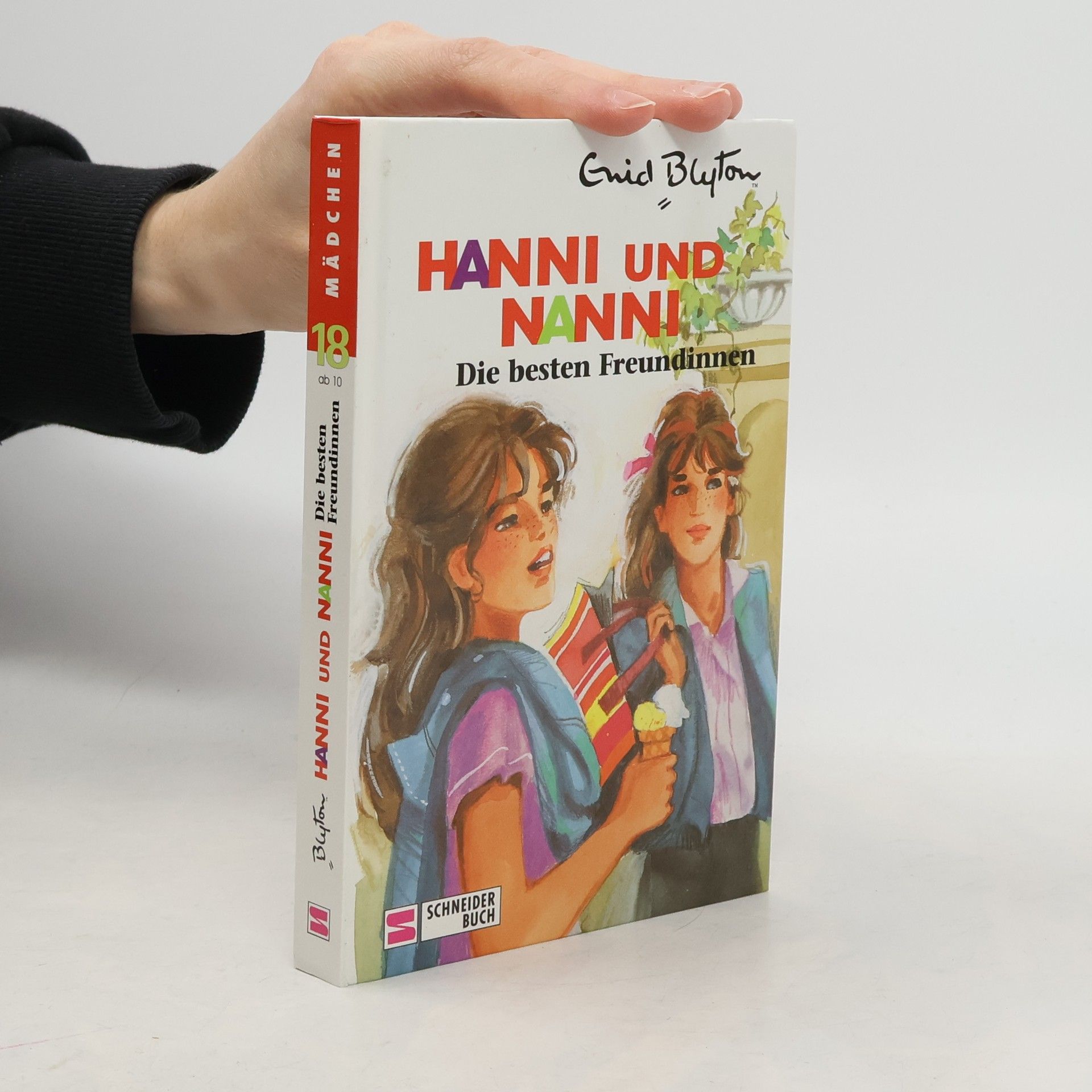 Enid Blyton Hanni und Nanni. Die besten Freundinnen