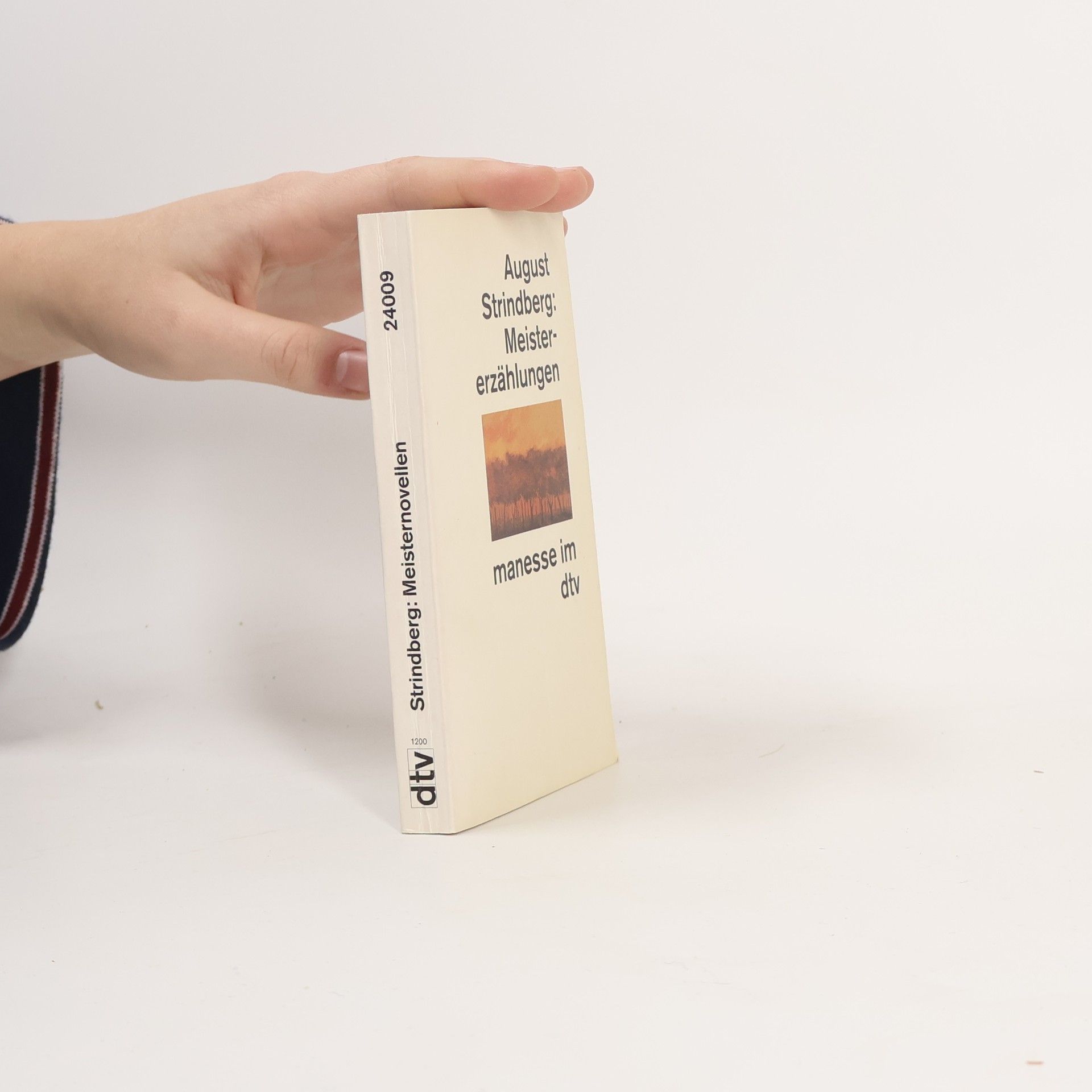 August Strindberg Meistererzählungen