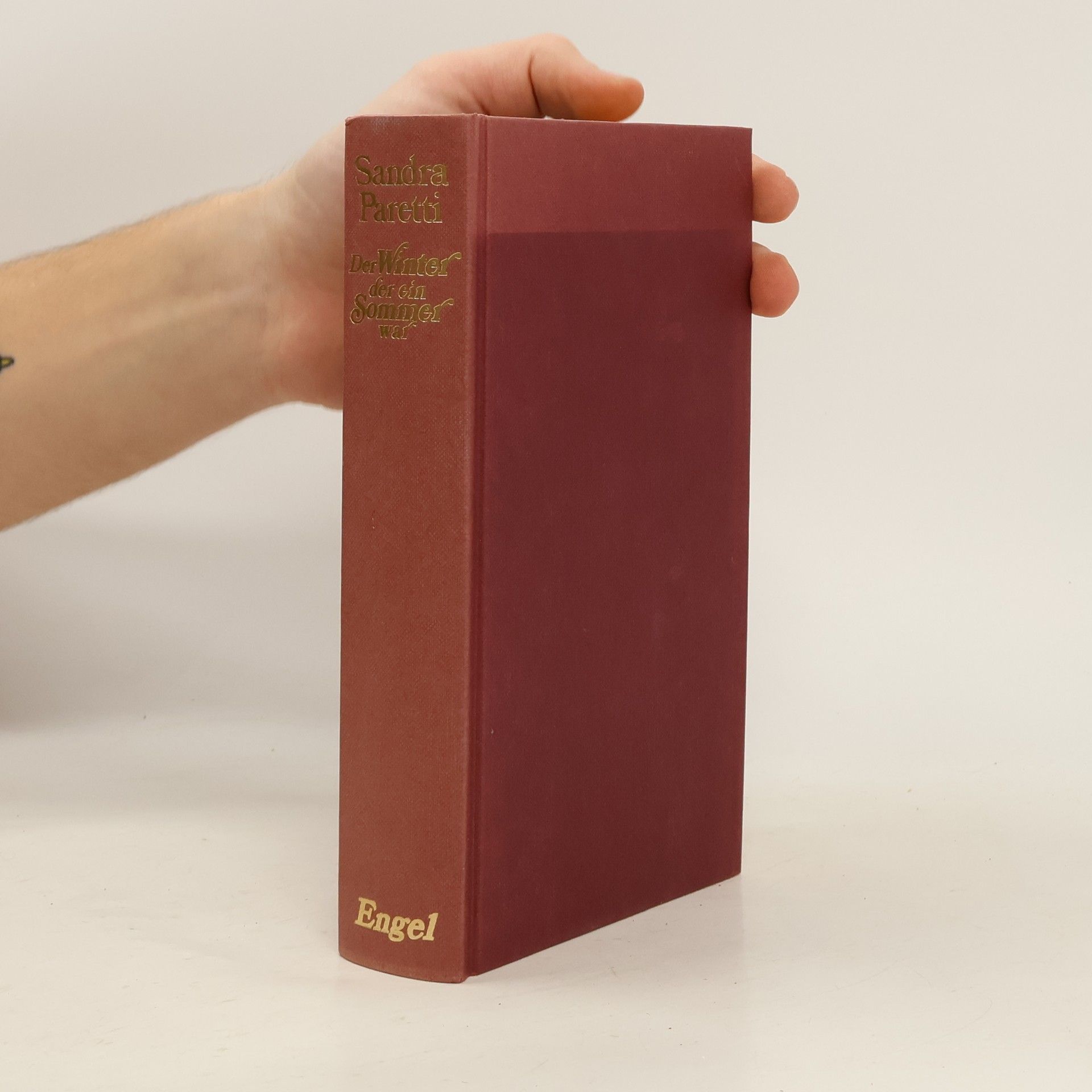 Sandra Paretti Der Winter Der Ein Sommer War