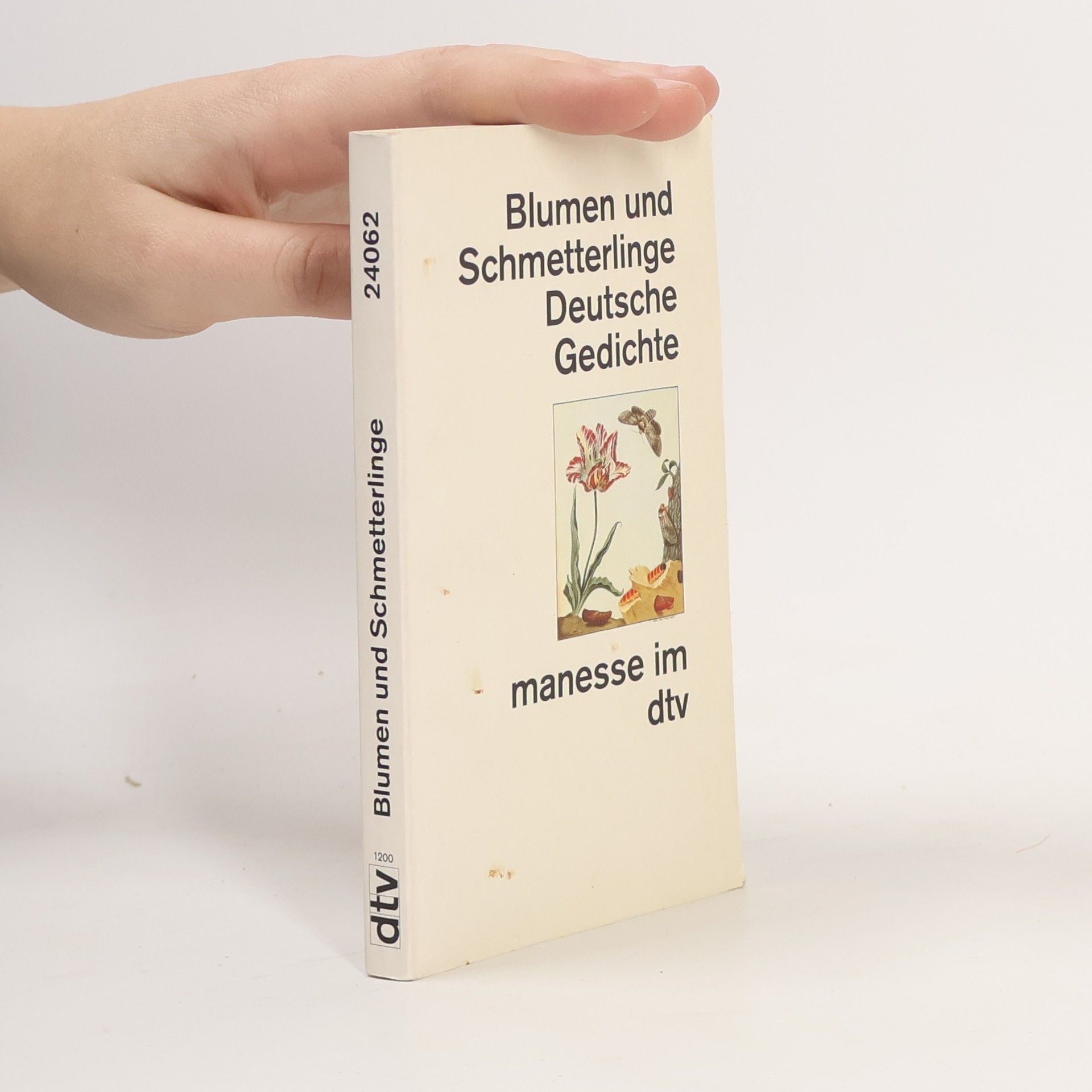 Manesse: Blumen und Schmetterlinge