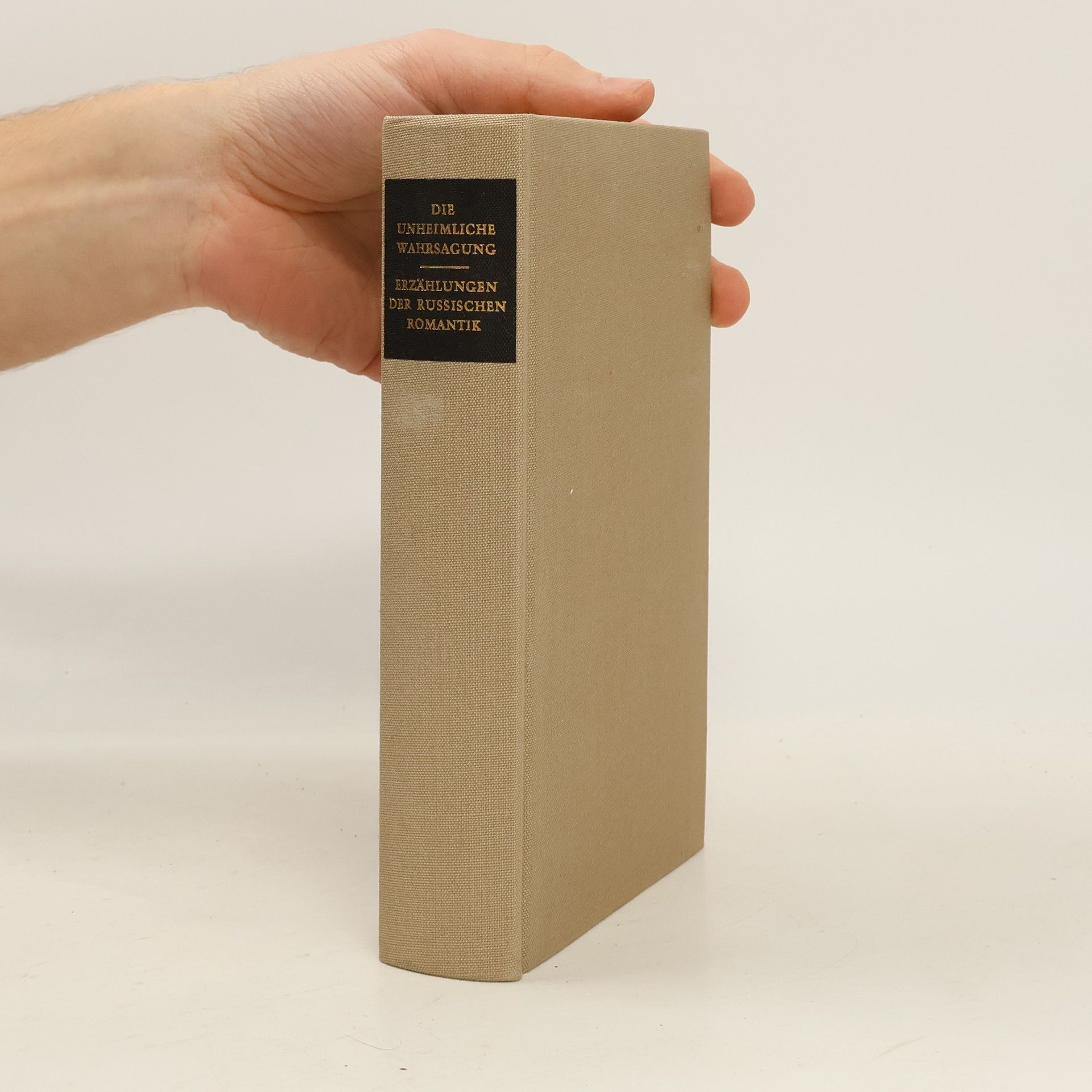 Die unheimliche Wahrsagung. Erzählungen der russischen Romantik