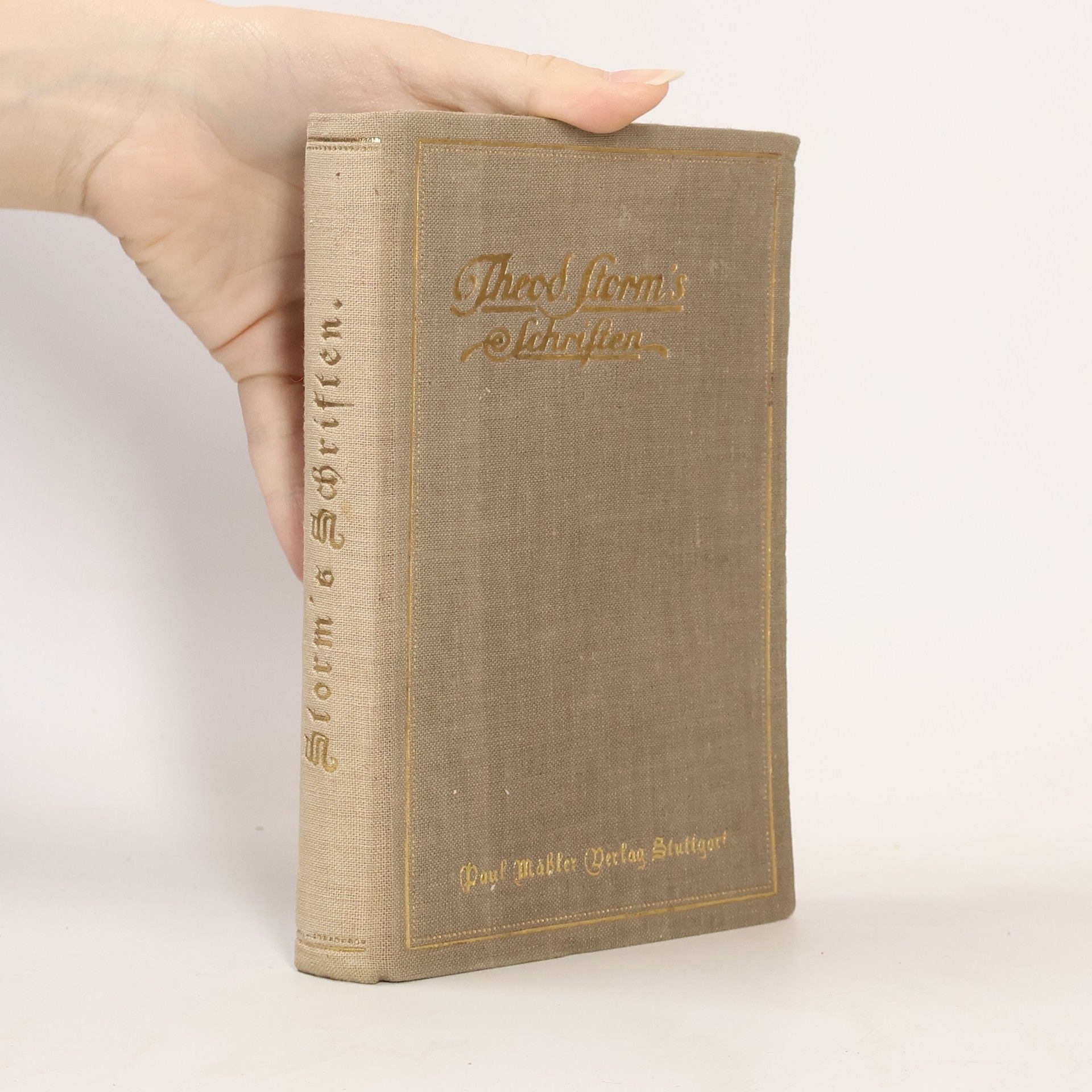 Autorenkollektiv Theod. Storm's Schriften